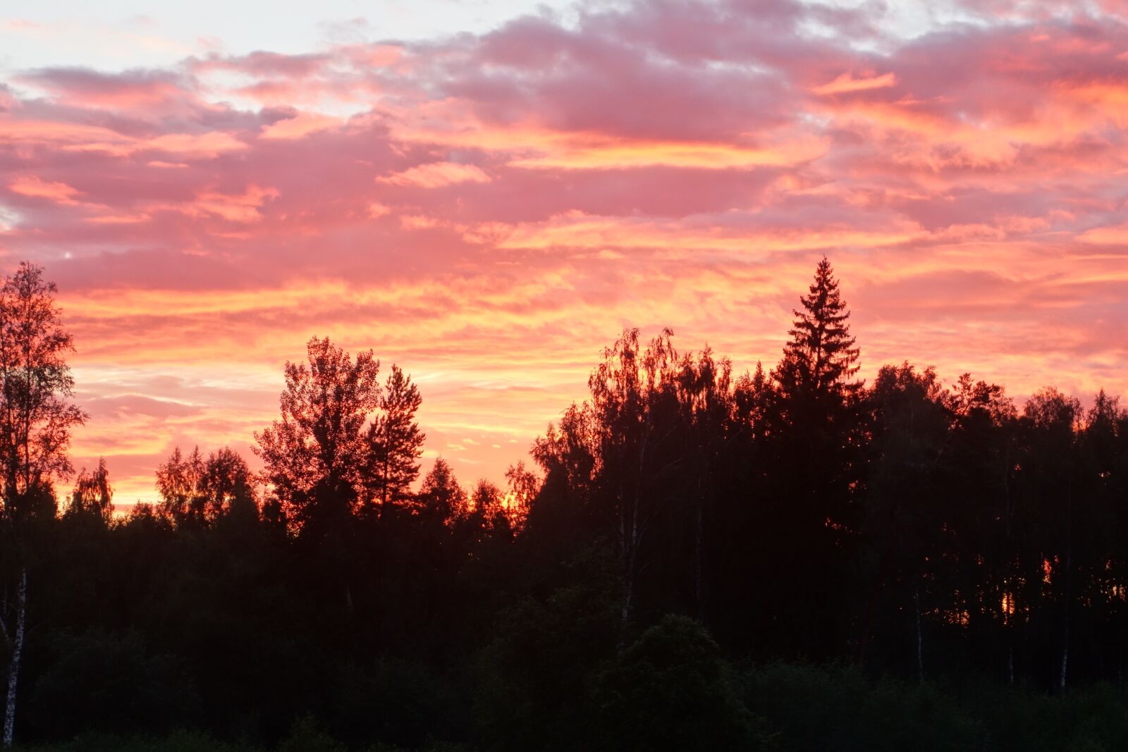 Sony Cyber-shot DSC-RX100 II sample photo. Summer evening, sunset, himmel photography