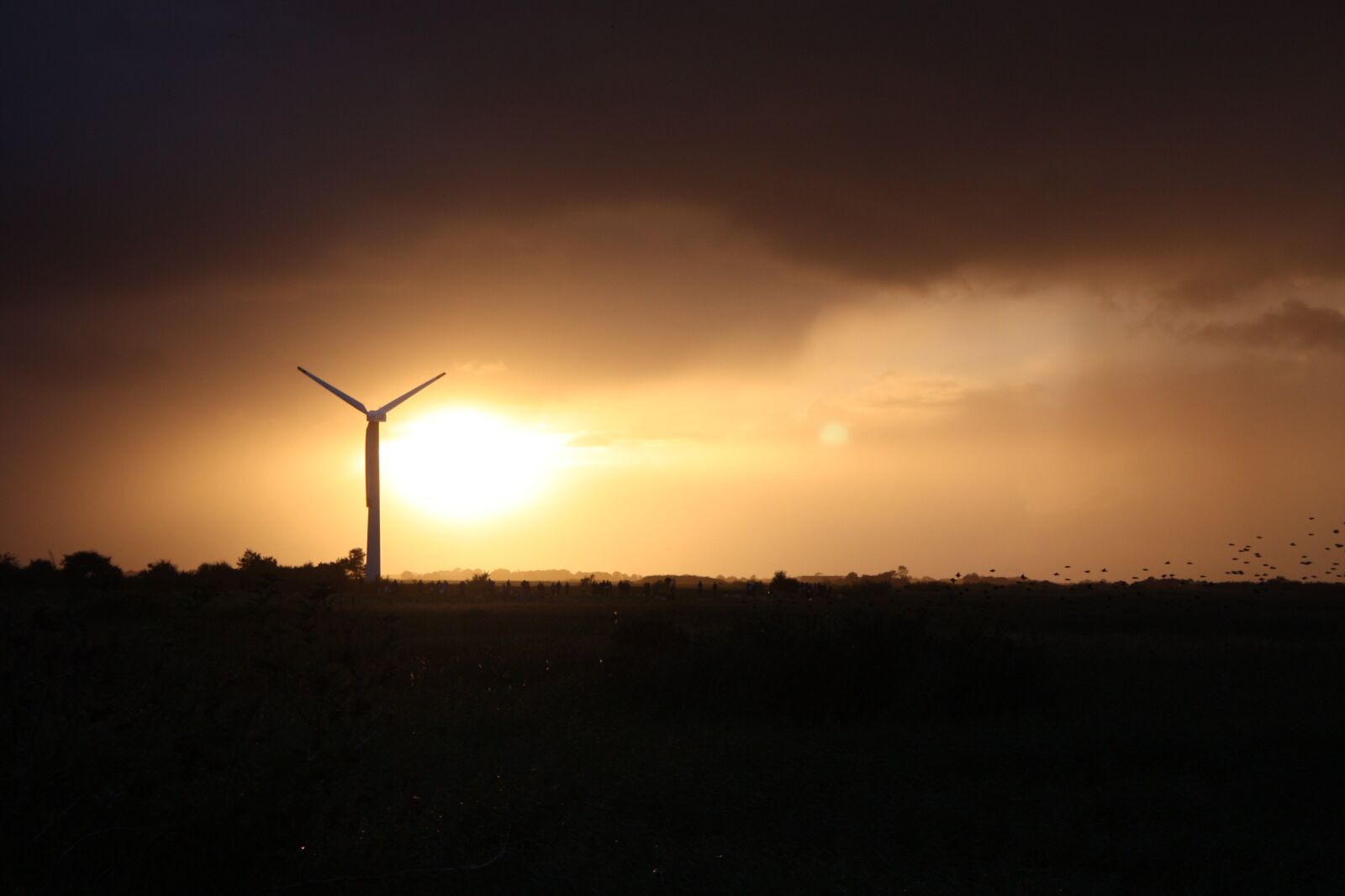 Canon EOS 450D (EOS Rebel XSi / EOS Kiss X2) sample photo. Sunset, denmark, environment photography