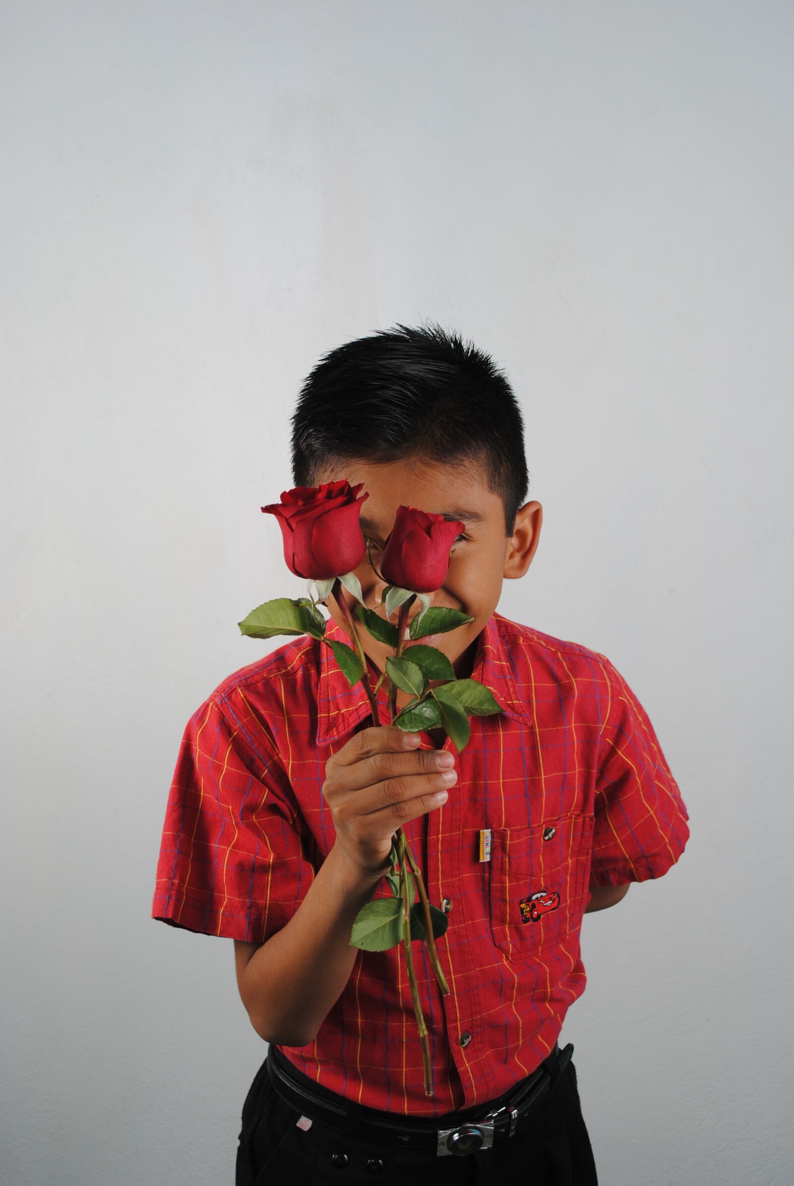 Nikon D3000 sample photo. Red roses, red, child photography