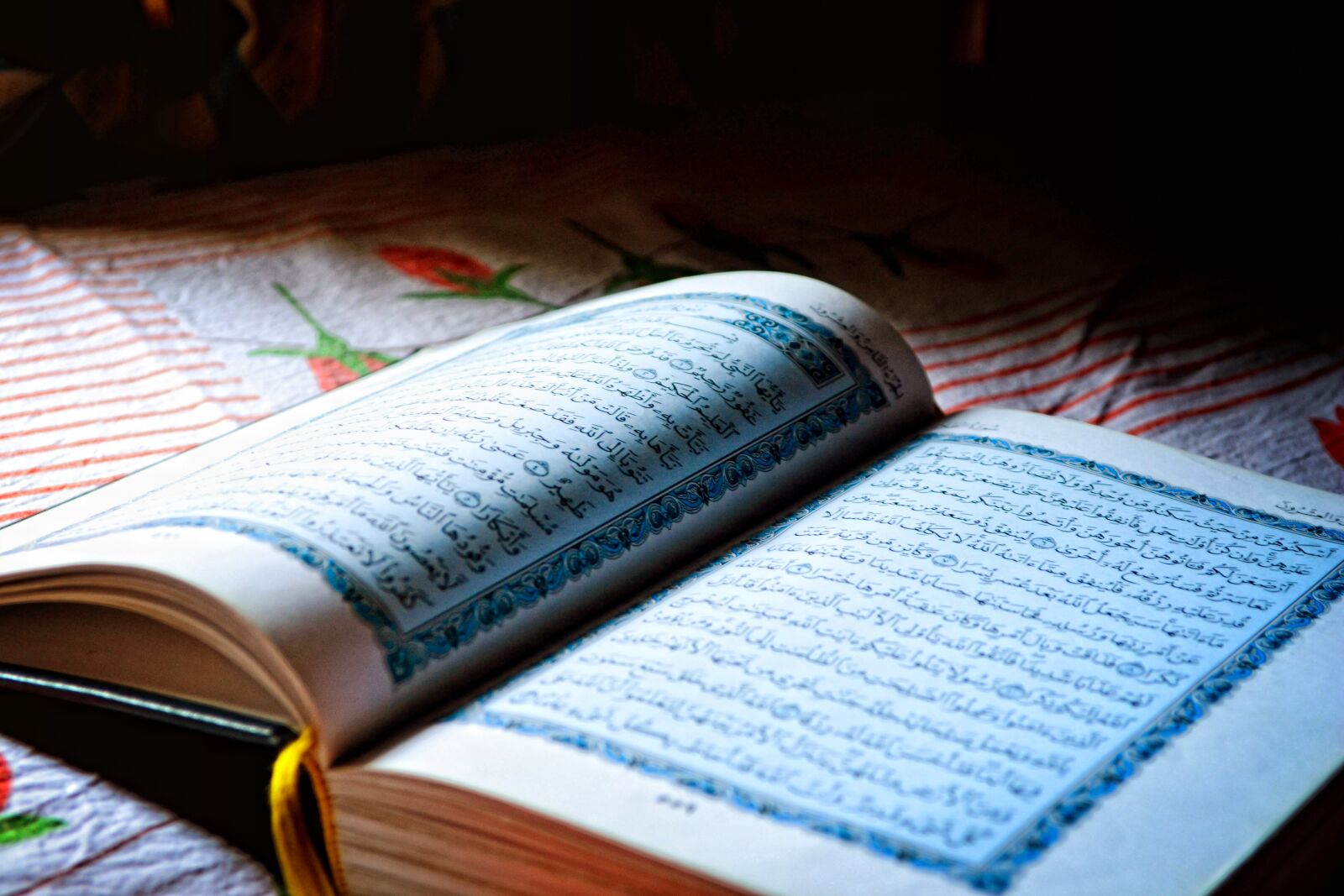 Nikon D3100 sample photo. Holy quran, ramadan, holy photography