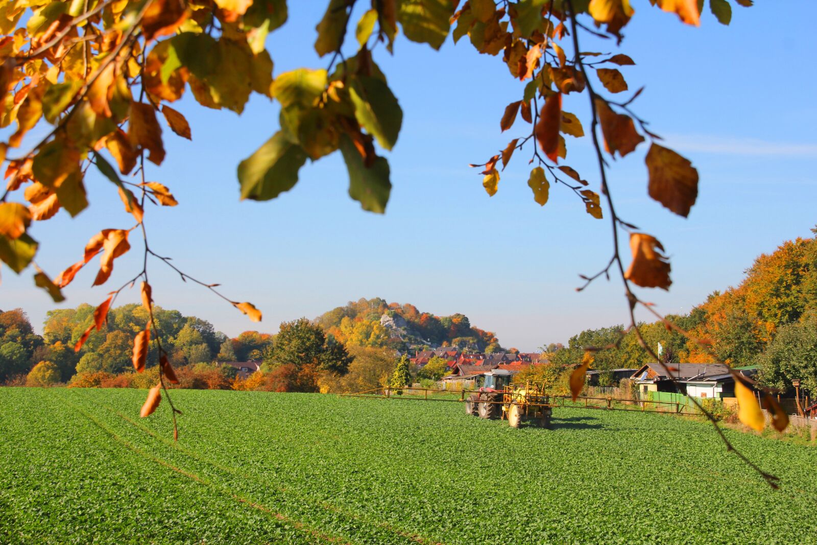 Canon EOS 60D sample photo. Autumn, badsegeberg, chalk mountain photography