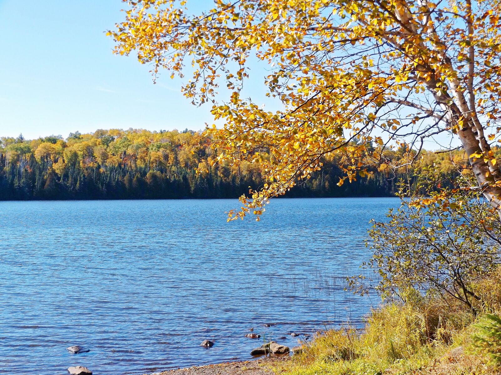 Fujifilm FinePix S8600 sample photo. Autumn, water, lake photography