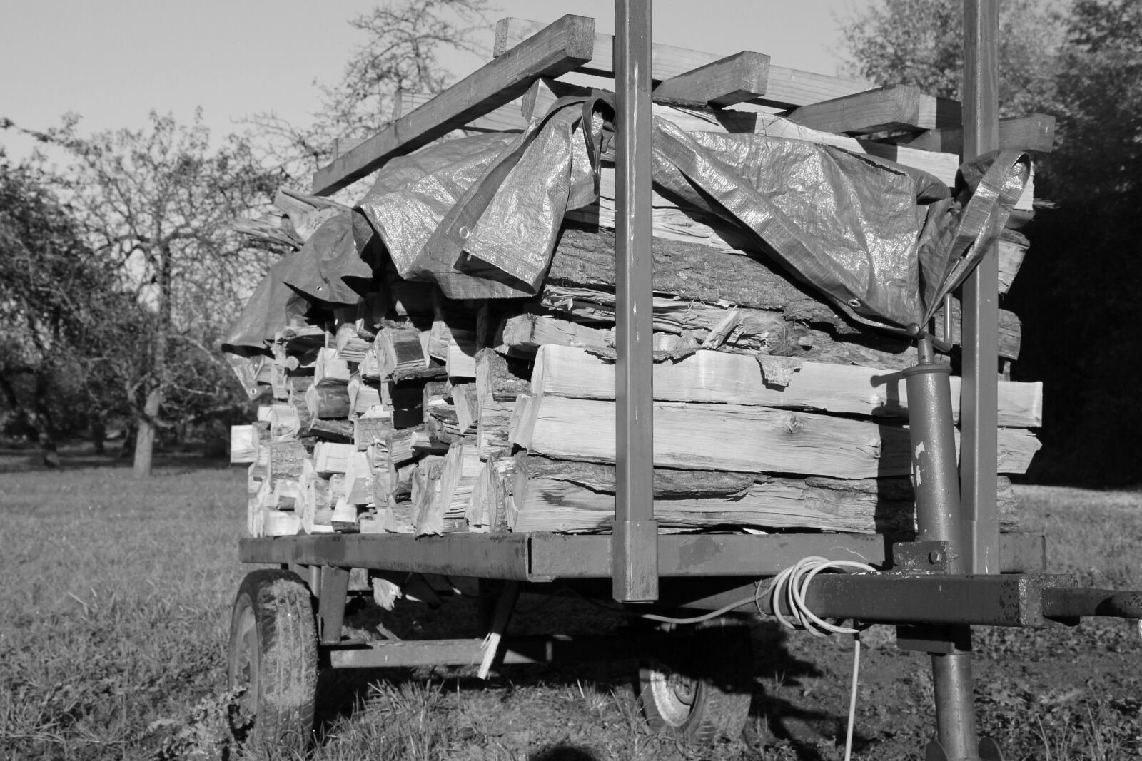 Canon EOS 1100D (EOS Rebel T3 / EOS Kiss X50) sample photo. Agriculture, trailers, dare photography