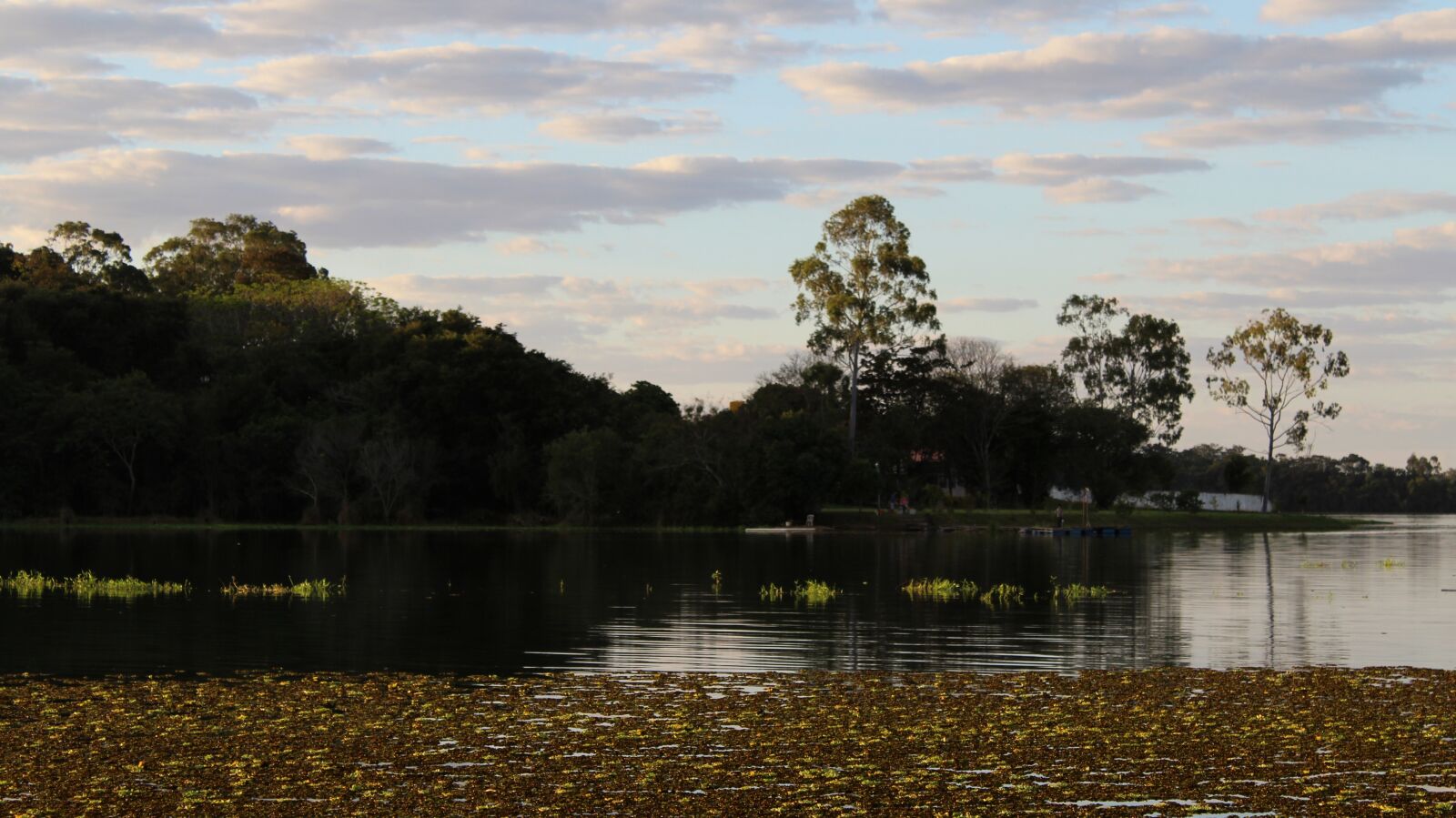 Canon EOS 1200D (EOS Rebel T5 / EOS Kiss X70 / EOS Hi) sample photo. Widescreen, nature, body of photography