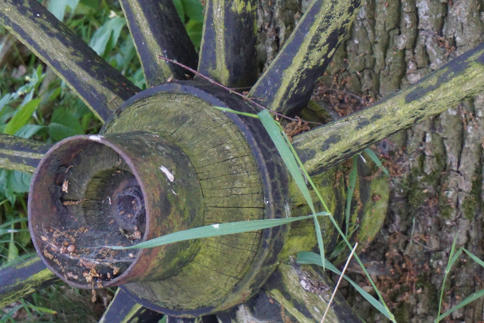 Sony a6000 sample photo. Old wooden wheel, agriculture photography