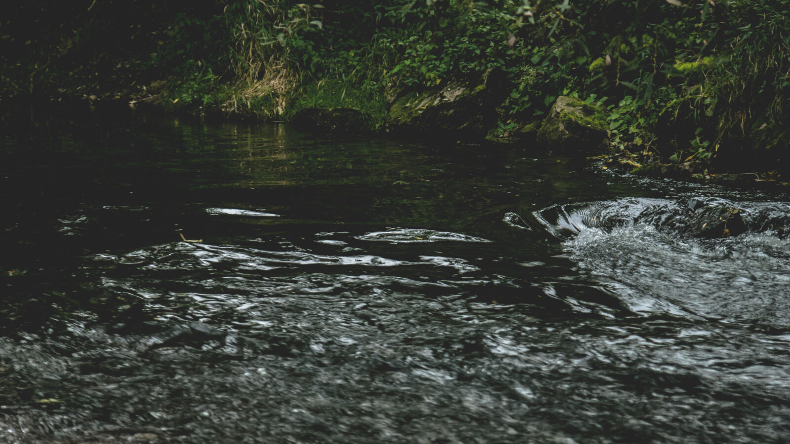 24-70mm F2.8-2.8 SSM sample photo. River, water photography