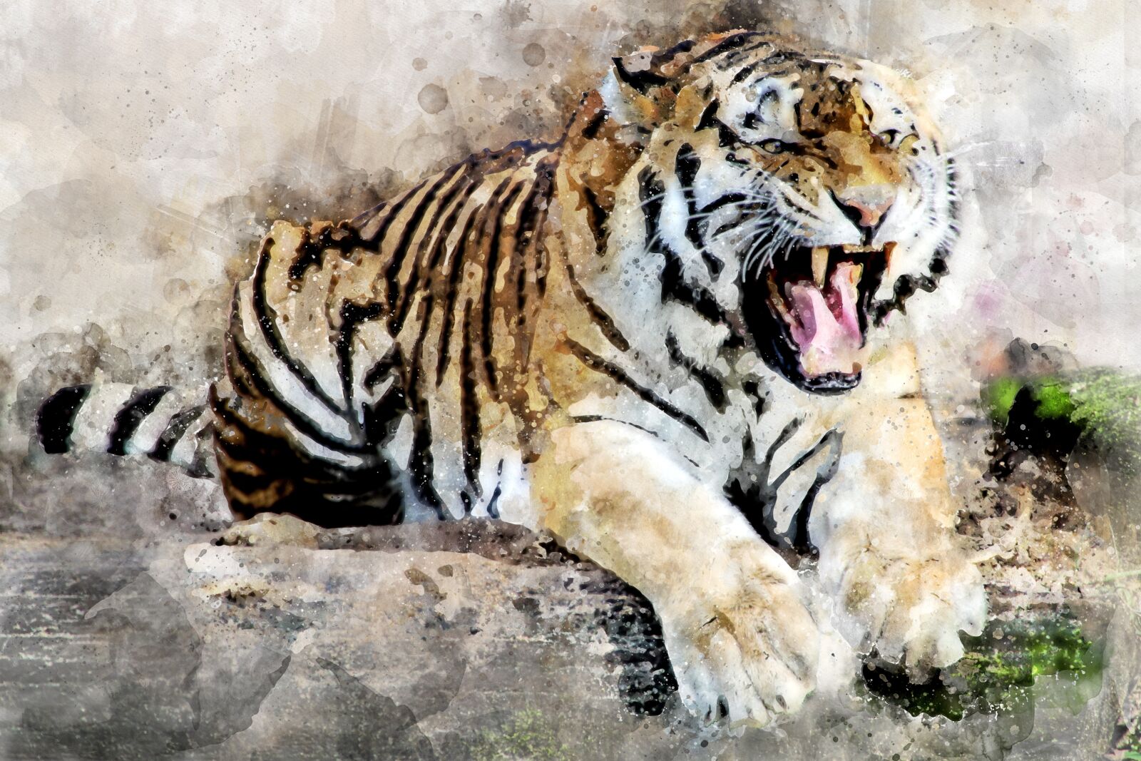 Canon EOS 600D (Rebel EOS T3i / EOS Kiss X5) sample photo. Tiger, predator, animal photography