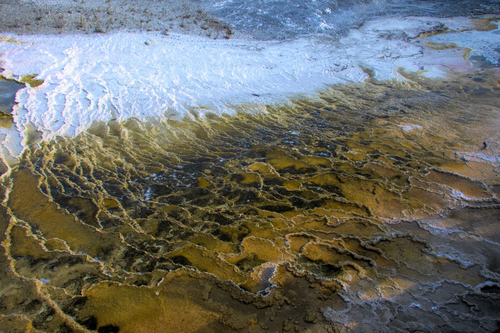 Nikon D850 sample photo. Yellowstone, thermals, park photography