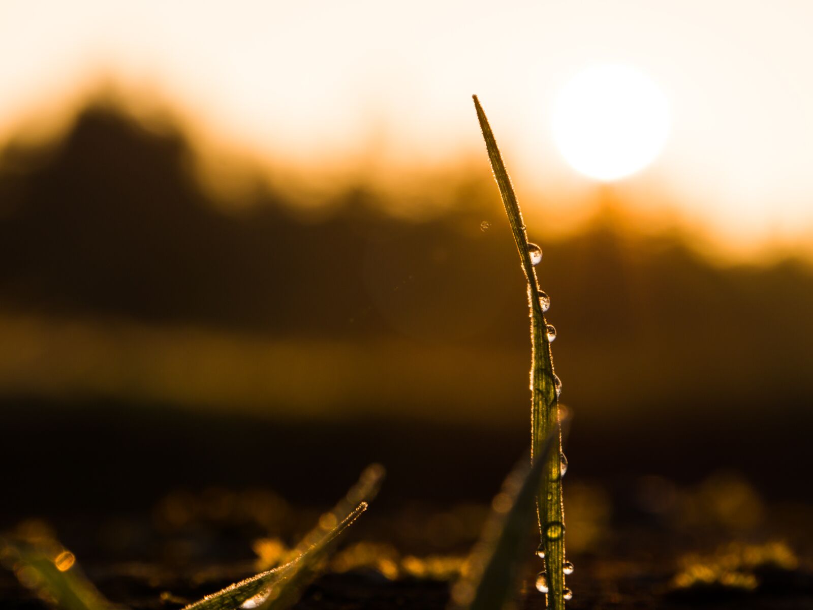 LEICA DG 12-60/F2.8-4.0 sample photo. Sunrise, winter, landscape photography