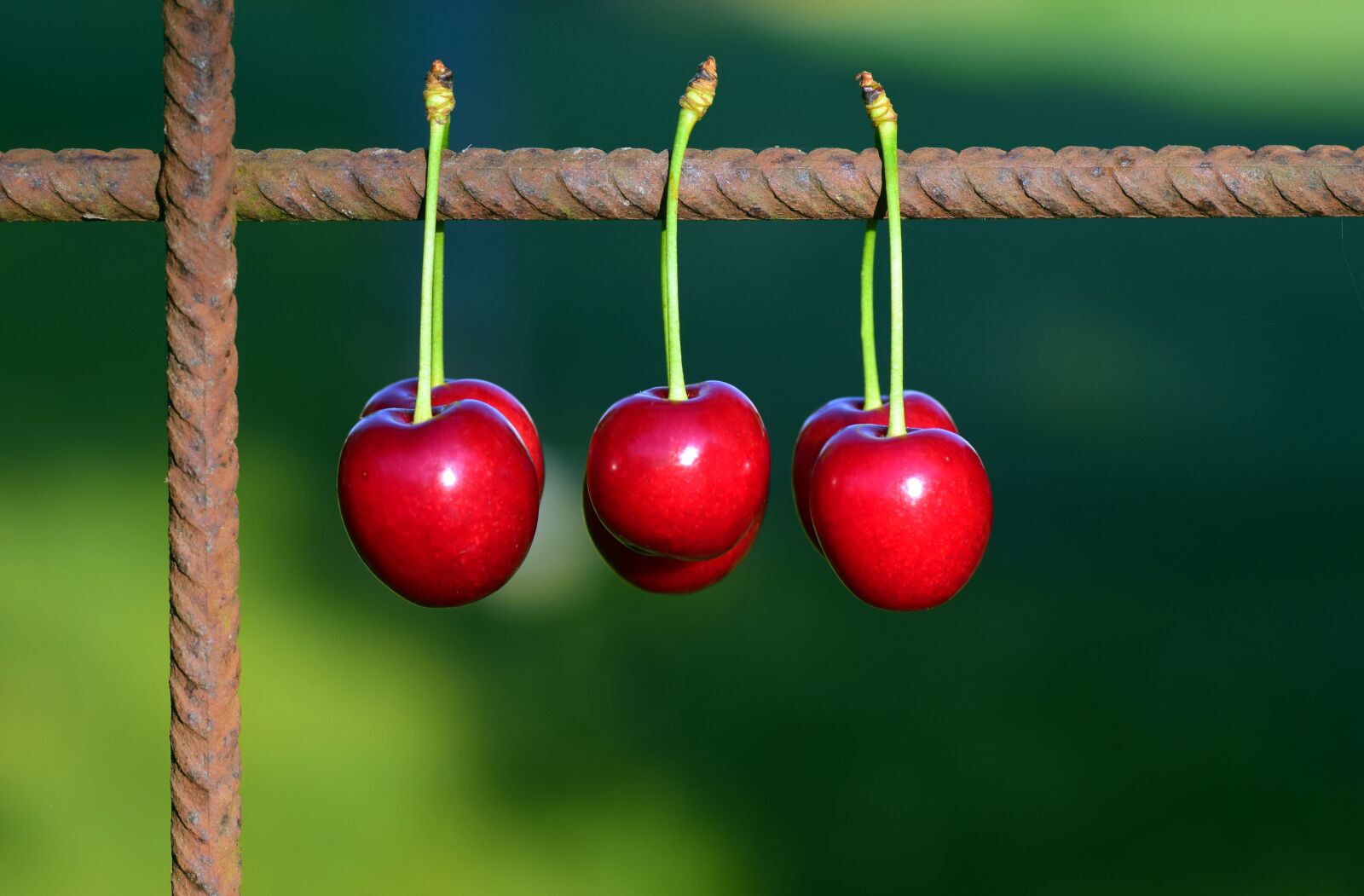 Nikon D3300 sample photo. Cherries, fruits, fruit photography
