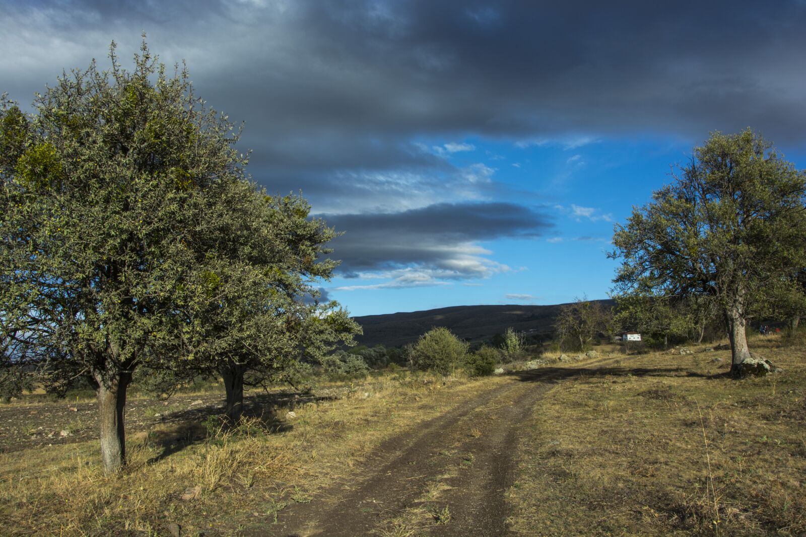Nikon D5200 sample photo. Nature, air, sky photography