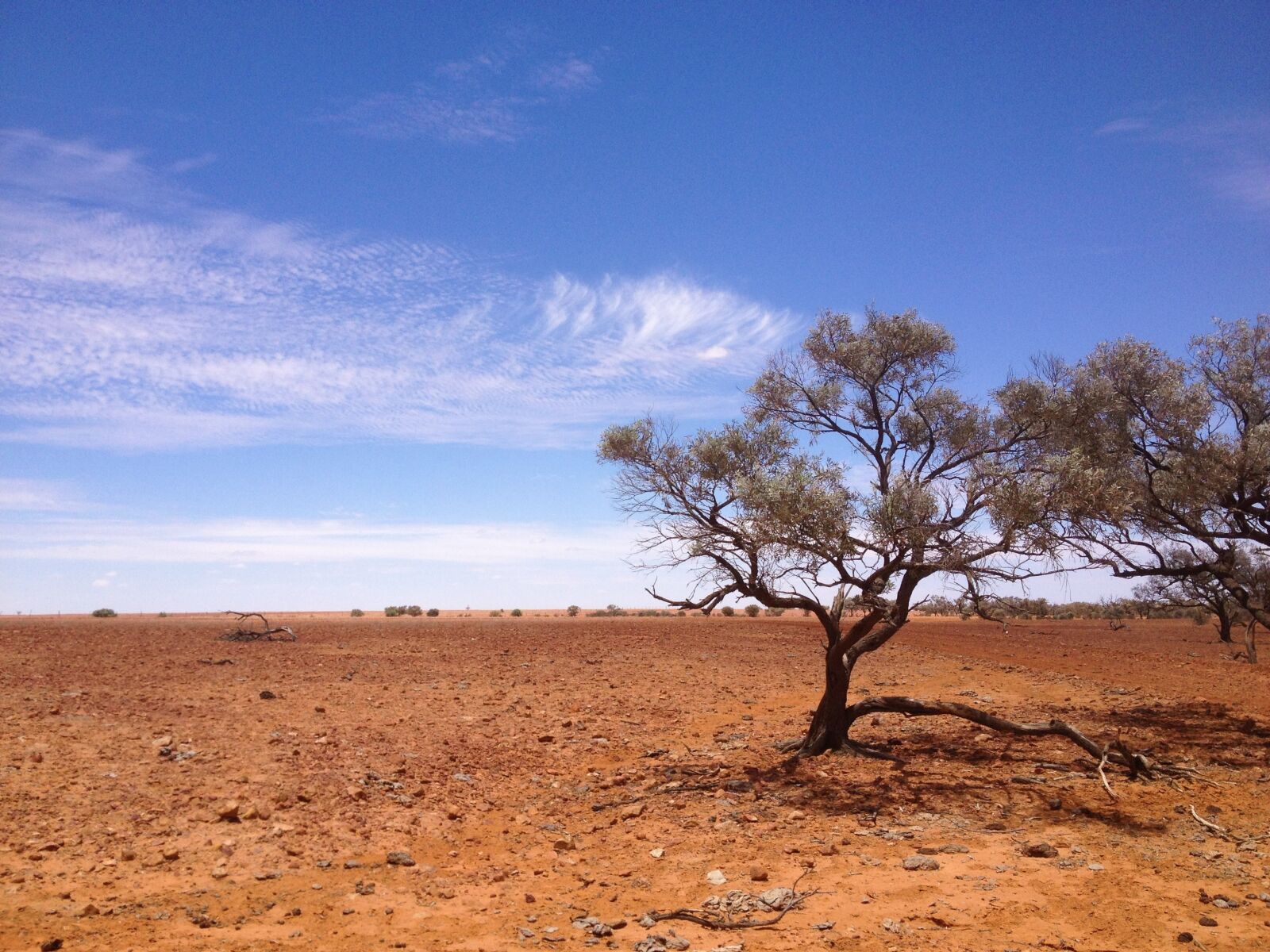Apple iPhone 4S sample photo. Gidyea, desert, simpson photography