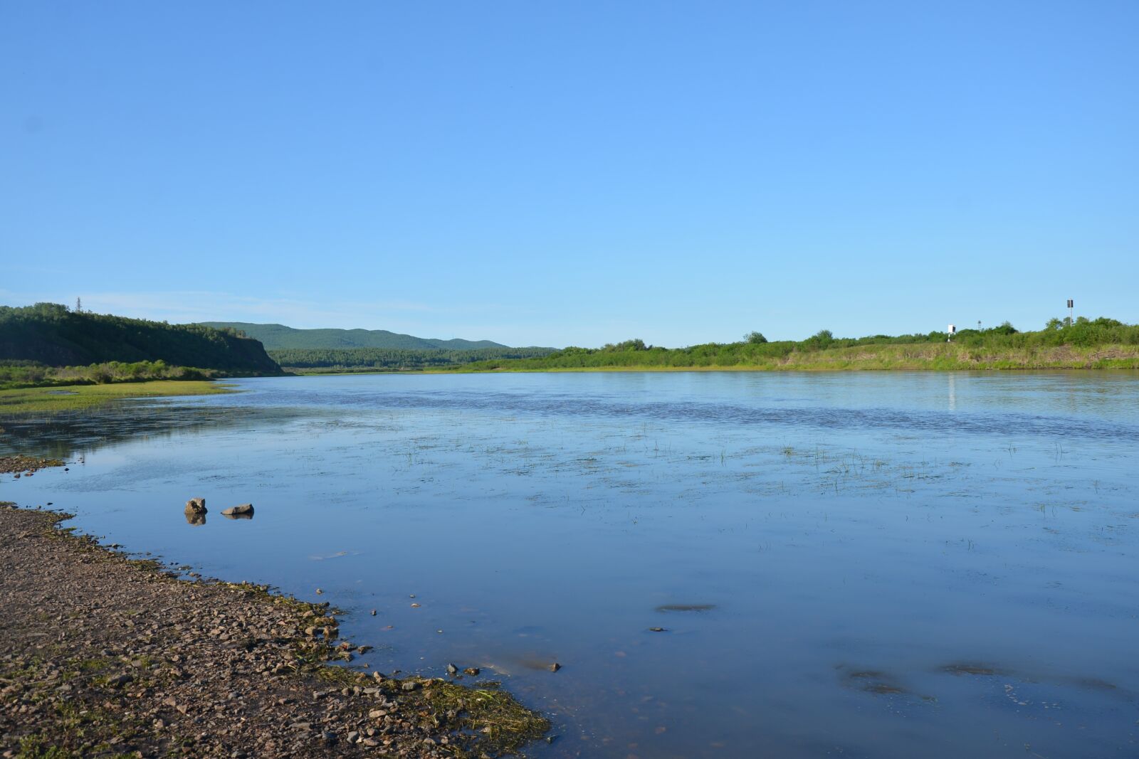Nikon D600 sample photo. Nature, outdoor photography