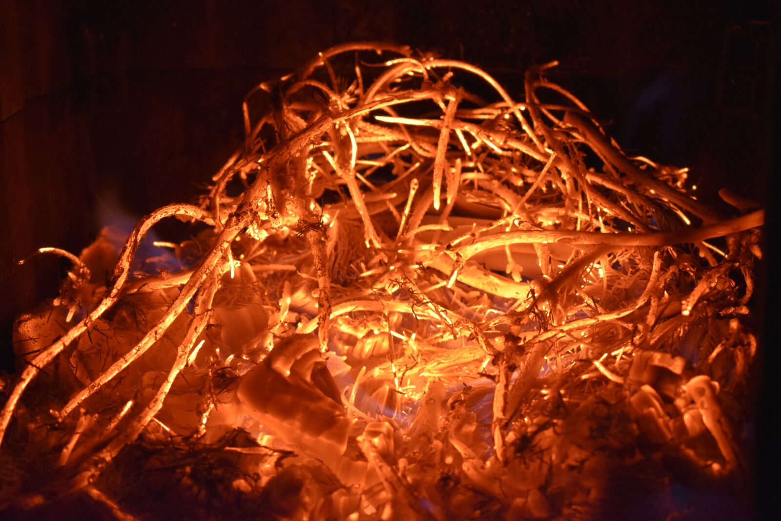 Nikon D5600 sample photo. Heat, fire, orange photography