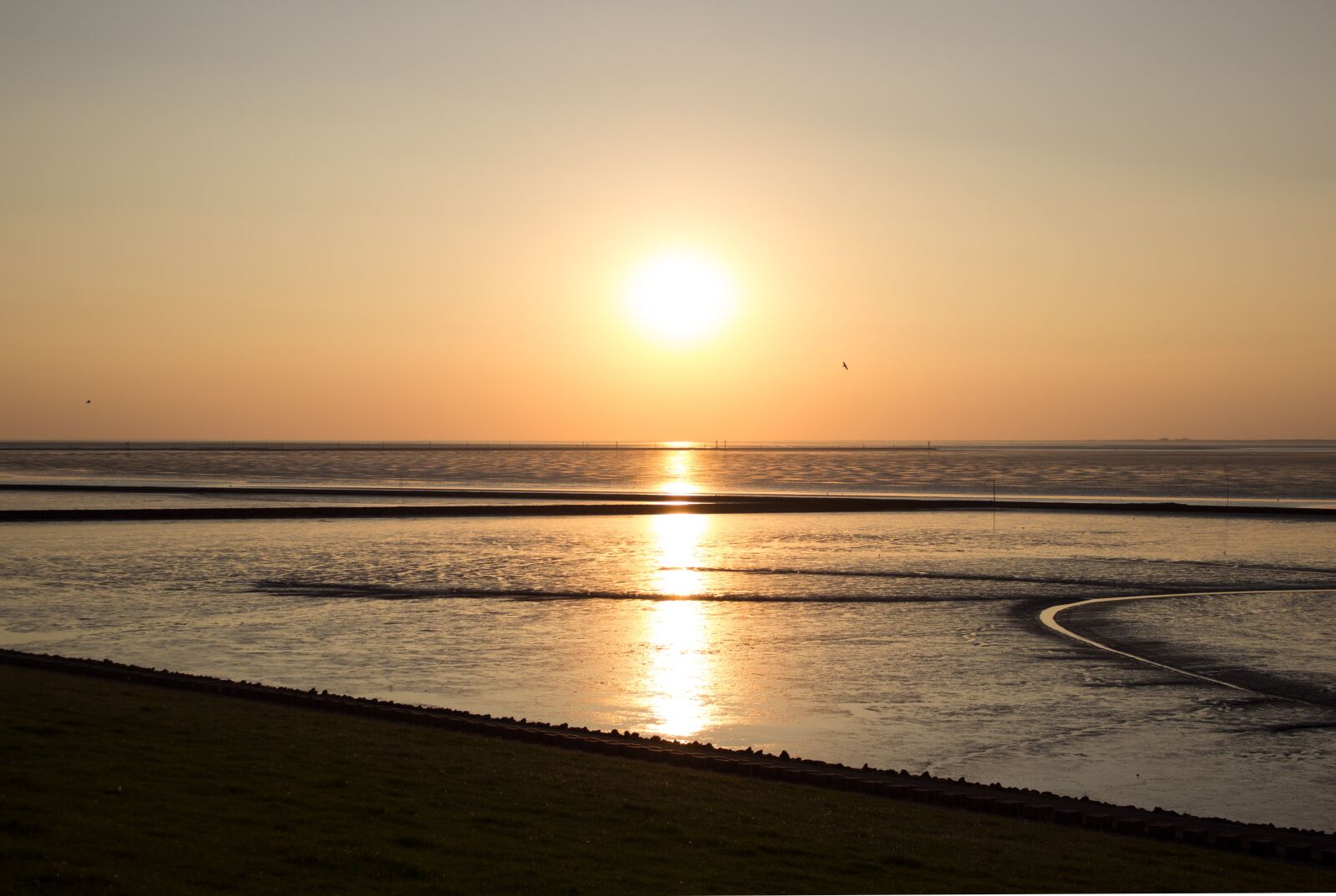 Canon EOS 600D (Rebel EOS T3i / EOS Kiss X5) sample photo. North sea, wadden sea photography