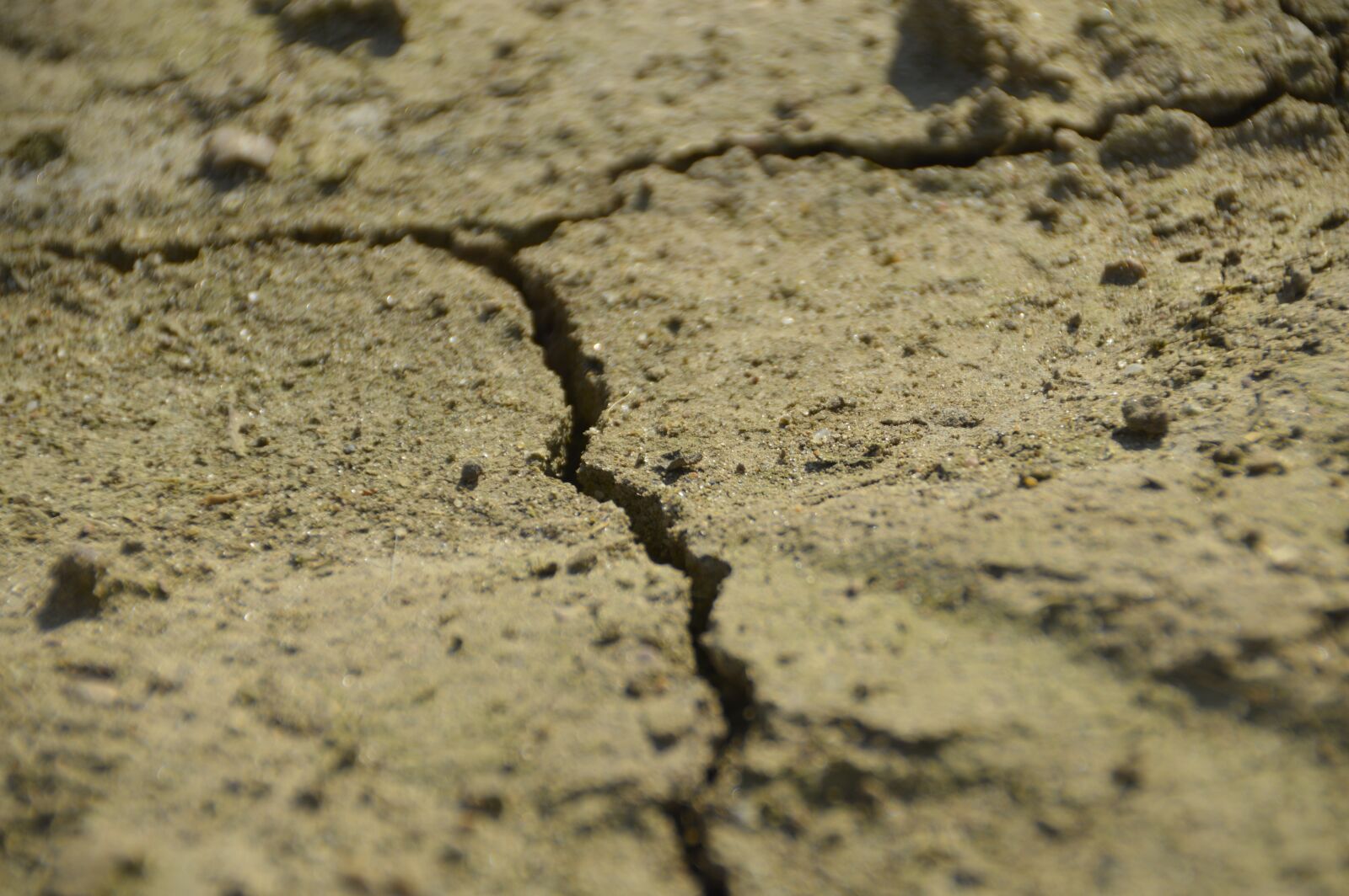 Nikon D3200 sample photo. Dry, ground, sand photography