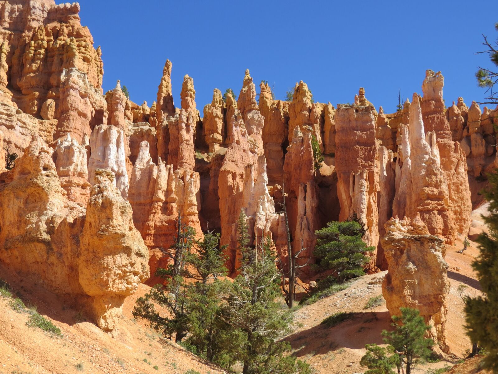 Canon PowerShot SX50 HS sample photo. Bryce canyon, red sandstone photography