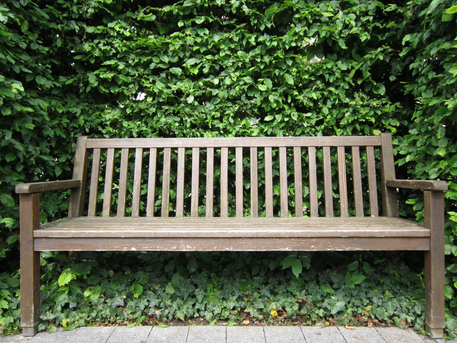 Canon PowerShot A3200 IS sample photo. Bank, wooden bench, nature photography