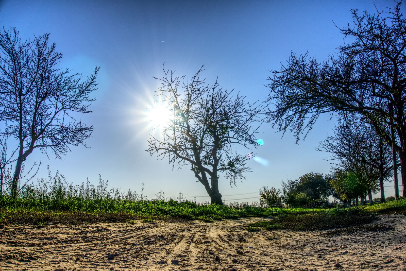 Sony E 16-50mm F3.5-5.6 PZ OSS sample photo. Sun, sunbeam, backlighting photography