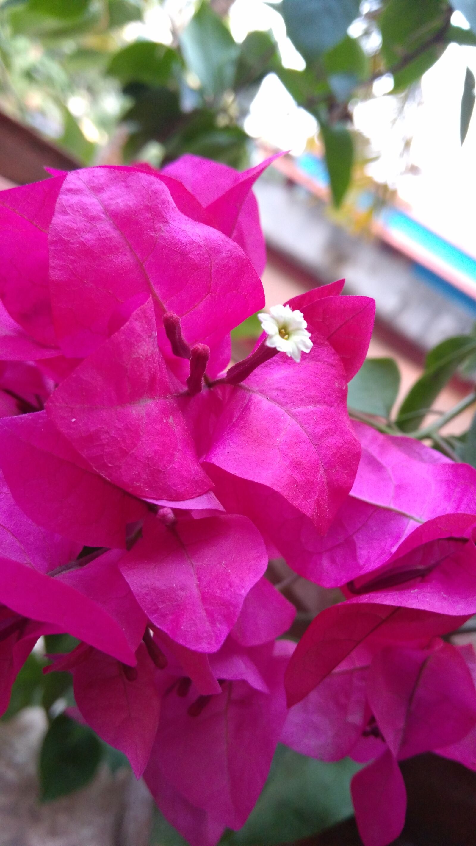 Lenovo K6 NOTE sample photo