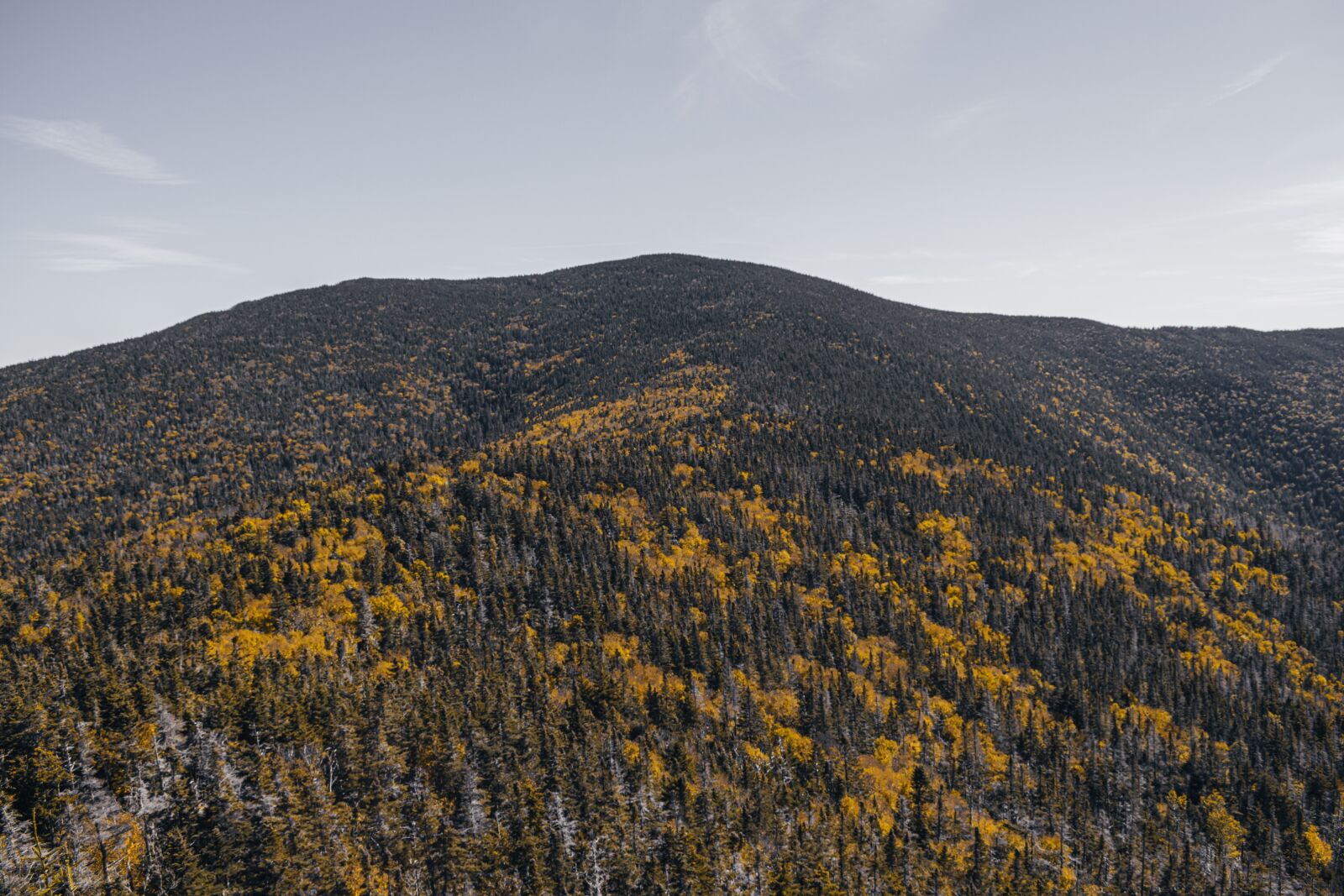 Nikon D5600 sample photo. Mountain, yellow, fall photography