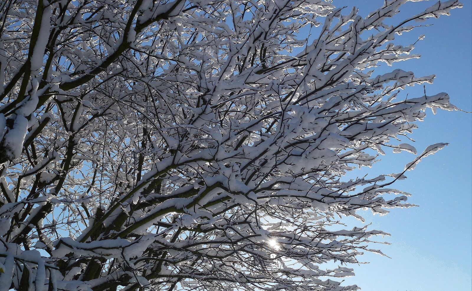 Leica V-Lux 30 / Panasonic Lumix DMC-TZ22 sample photo. Winter, snow, sun photography