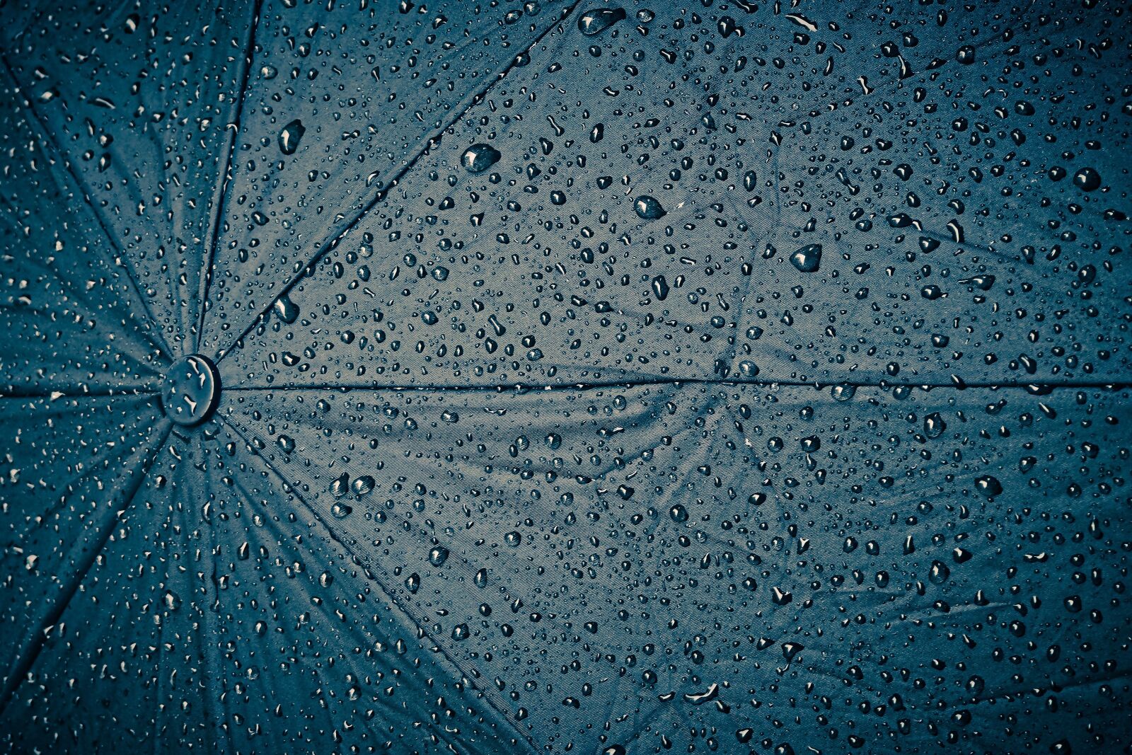 Olympus OM-D E-M10 sample photo. Rain, screen, umbrella photography