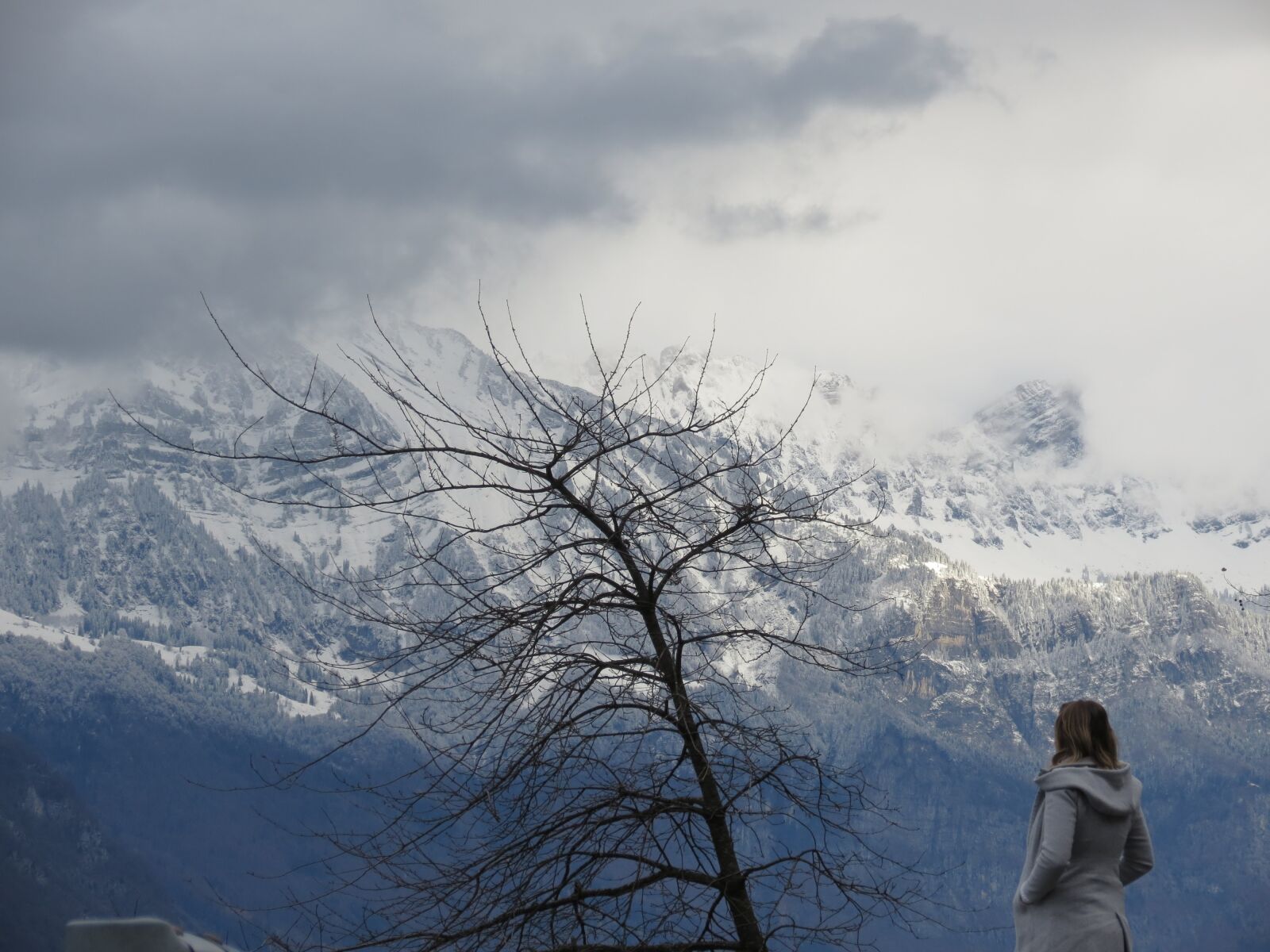 Canon PowerShot SX40 HS sample photo. Landscape, mountain, switzerland photography