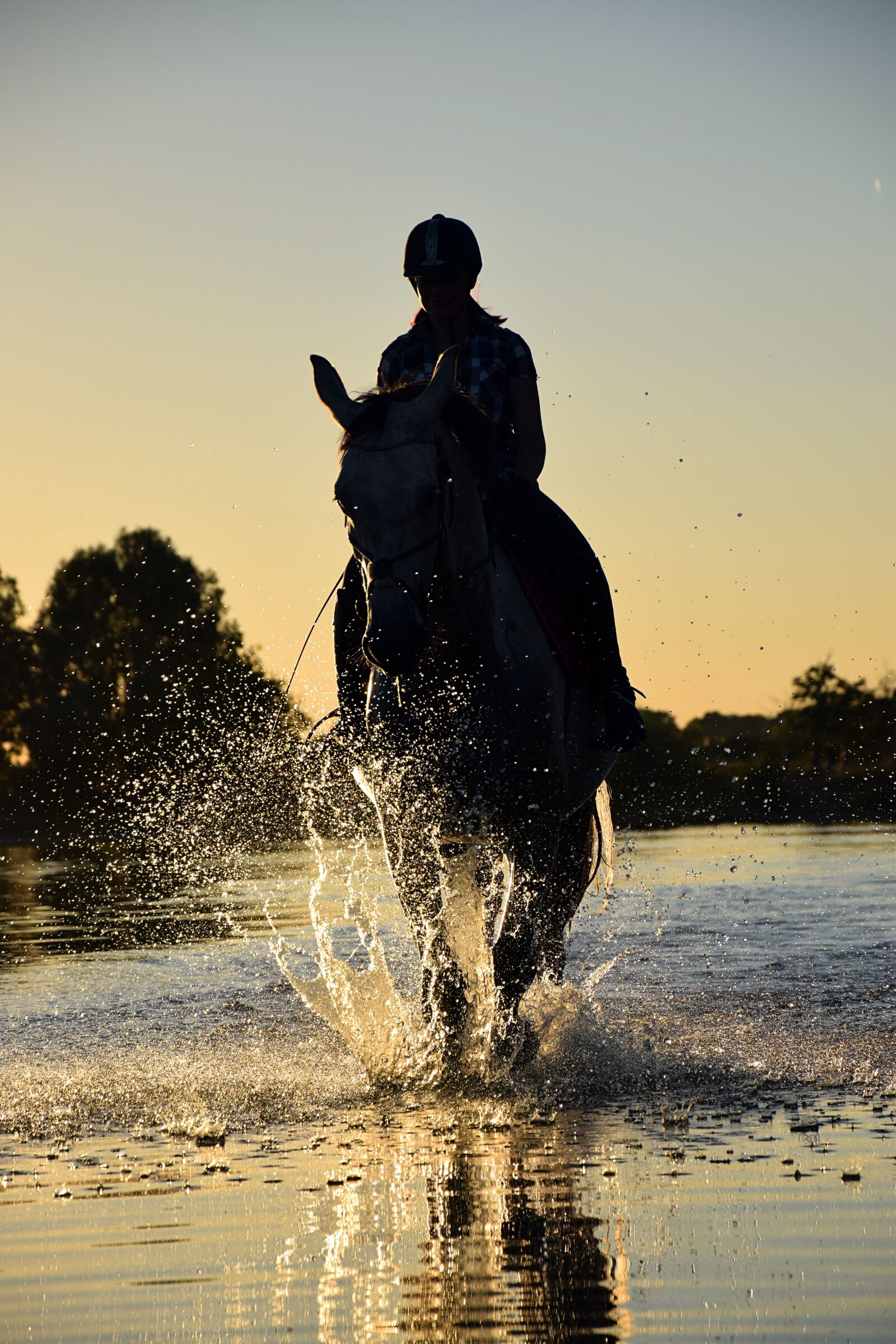 Nikon D3300 sample photo. Horse, ride, water photography