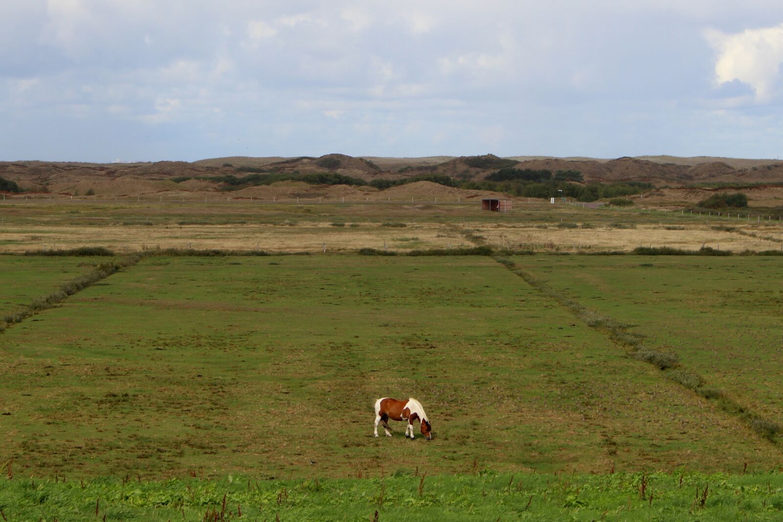 Canon EOS 700D (EOS Rebel T5i / EOS Kiss X7i) sample photo. Langeoog, island, east frisia photography