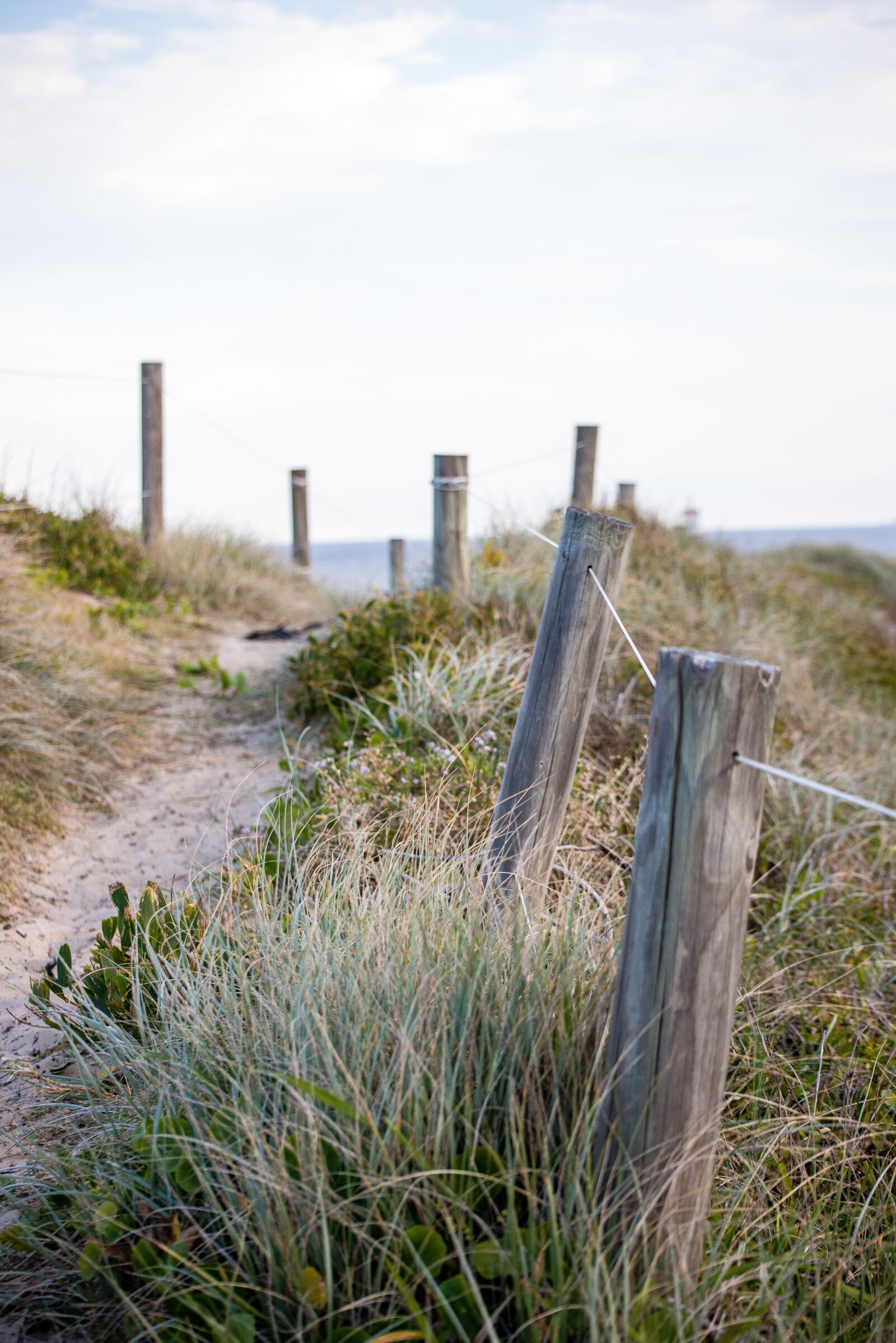 Nikon D600 sample photo. Beach, fence, ocean photography