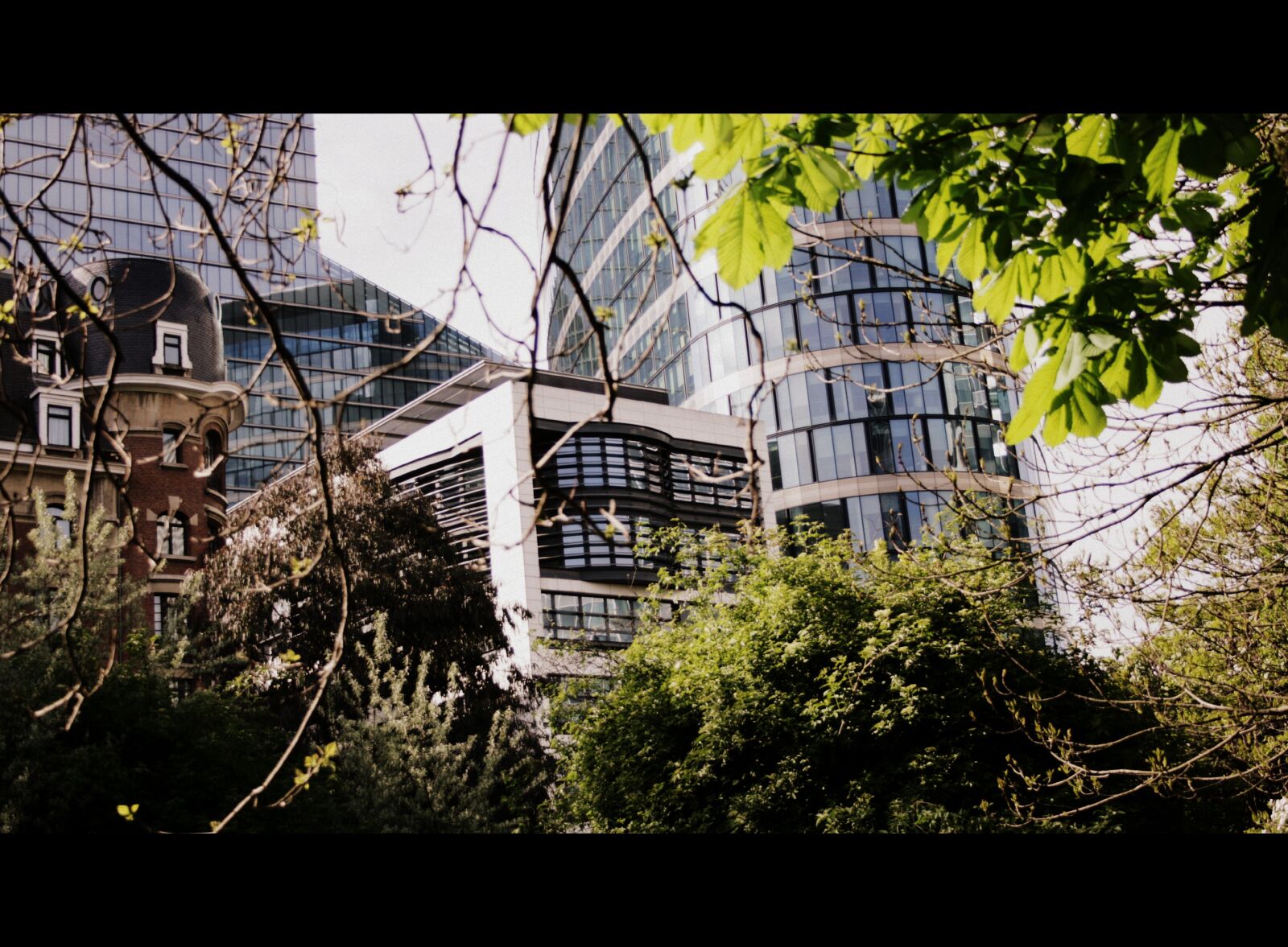Canon EOS 400D (EOS Digital Rebel XTi / EOS Kiss Digital X) sample photo. Nature, urban, bruxelles photography