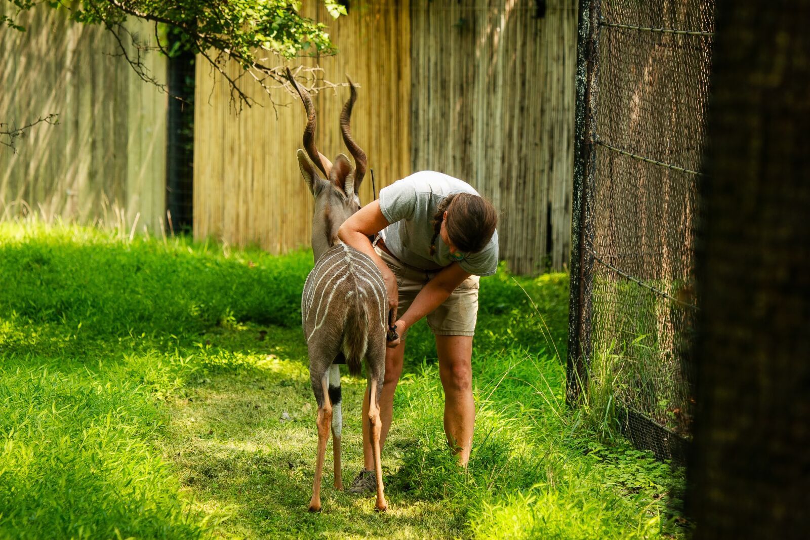Canon EOS 30D sample photo. Zoo, summer, nature photography