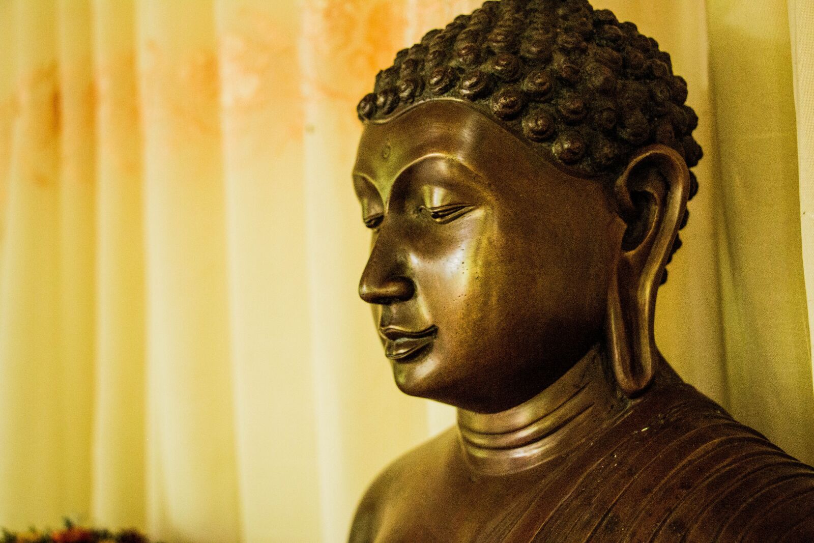 Canon EOS 70D sample photo. Buddha, mahamevnawa, sri lanka photography