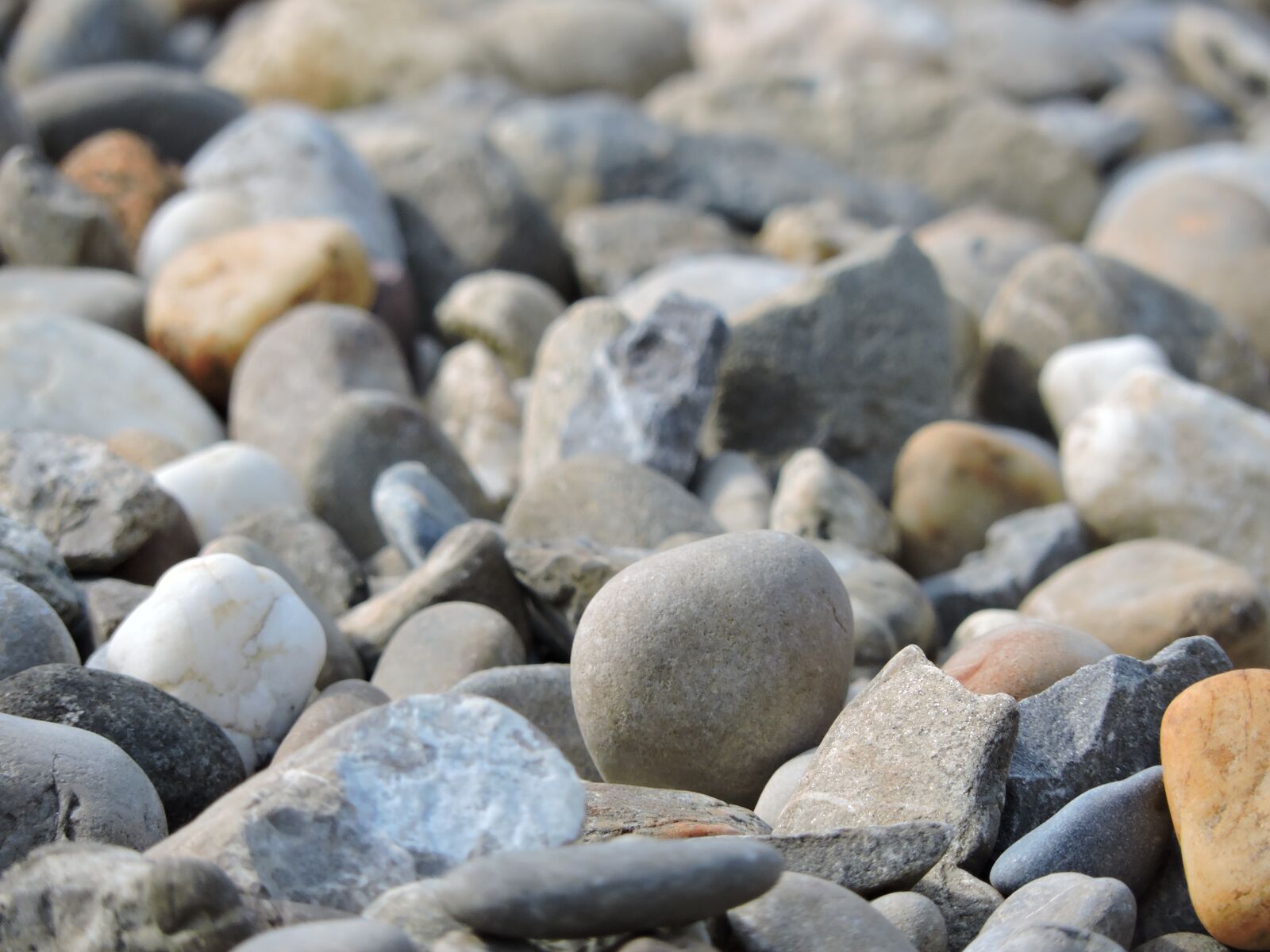 Nikon Coolpix P530 sample photo. Stones, beach, lake constance photography