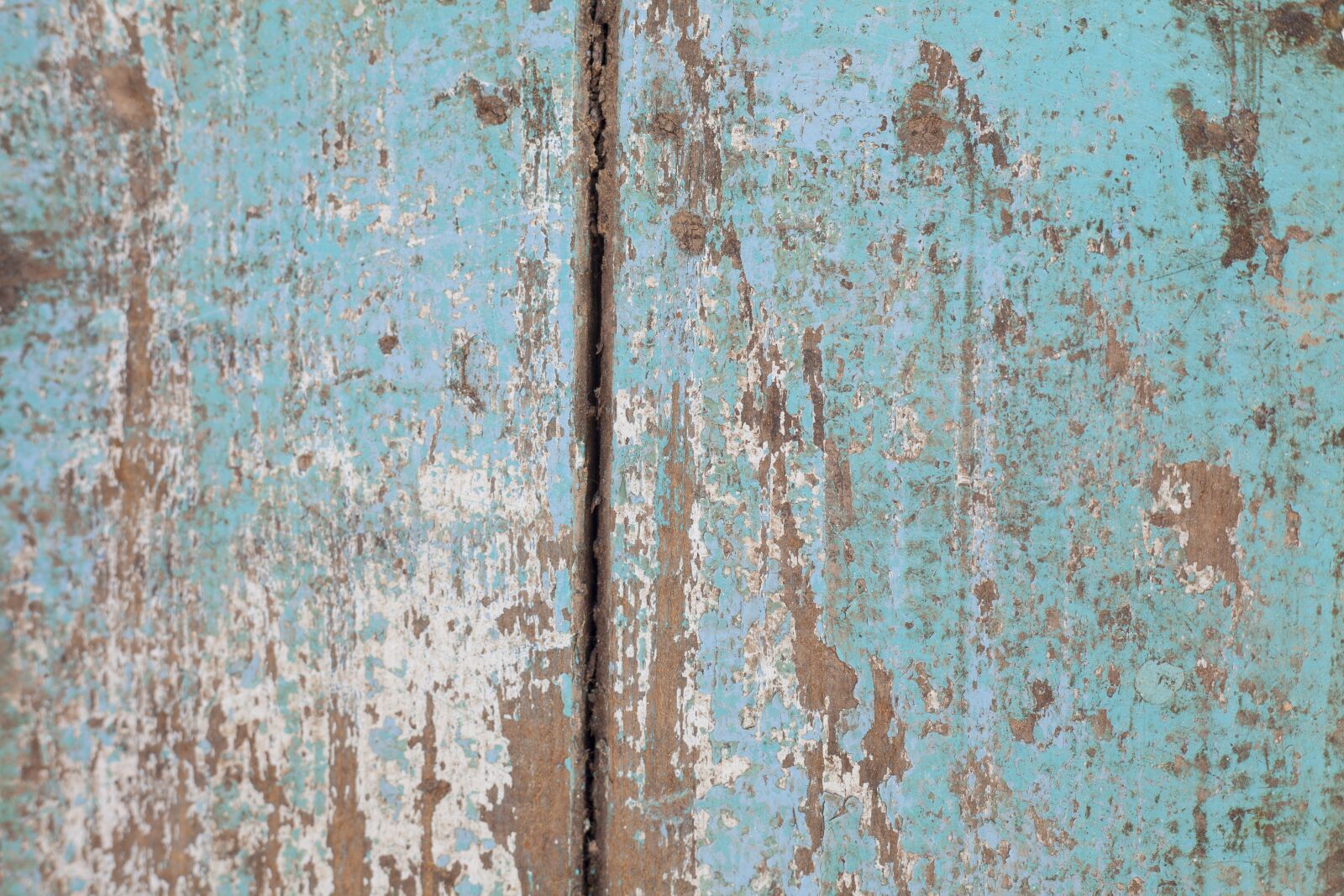 Canon EF 50mm F1.8 II sample photo. Texture, wood, old photography