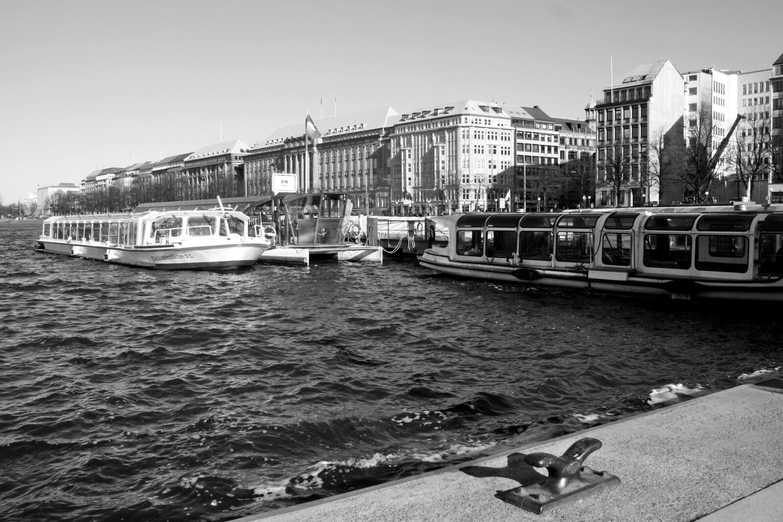 Canon EOS 1000D (EOS Digital Rebel XS / EOS Kiss F) sample photo. Black and white photography photography