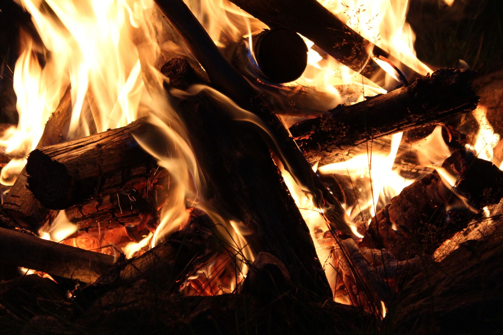 Canon EOS 600D (Rebel EOS T3i / EOS Kiss X5) sample photo. Fire, flame, nature photography