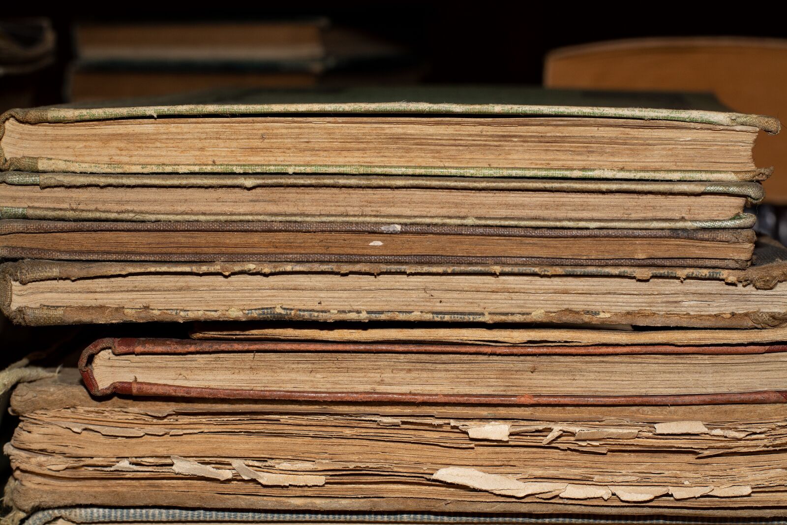 Nikon D7100 sample photo. Books, old, literature photography
