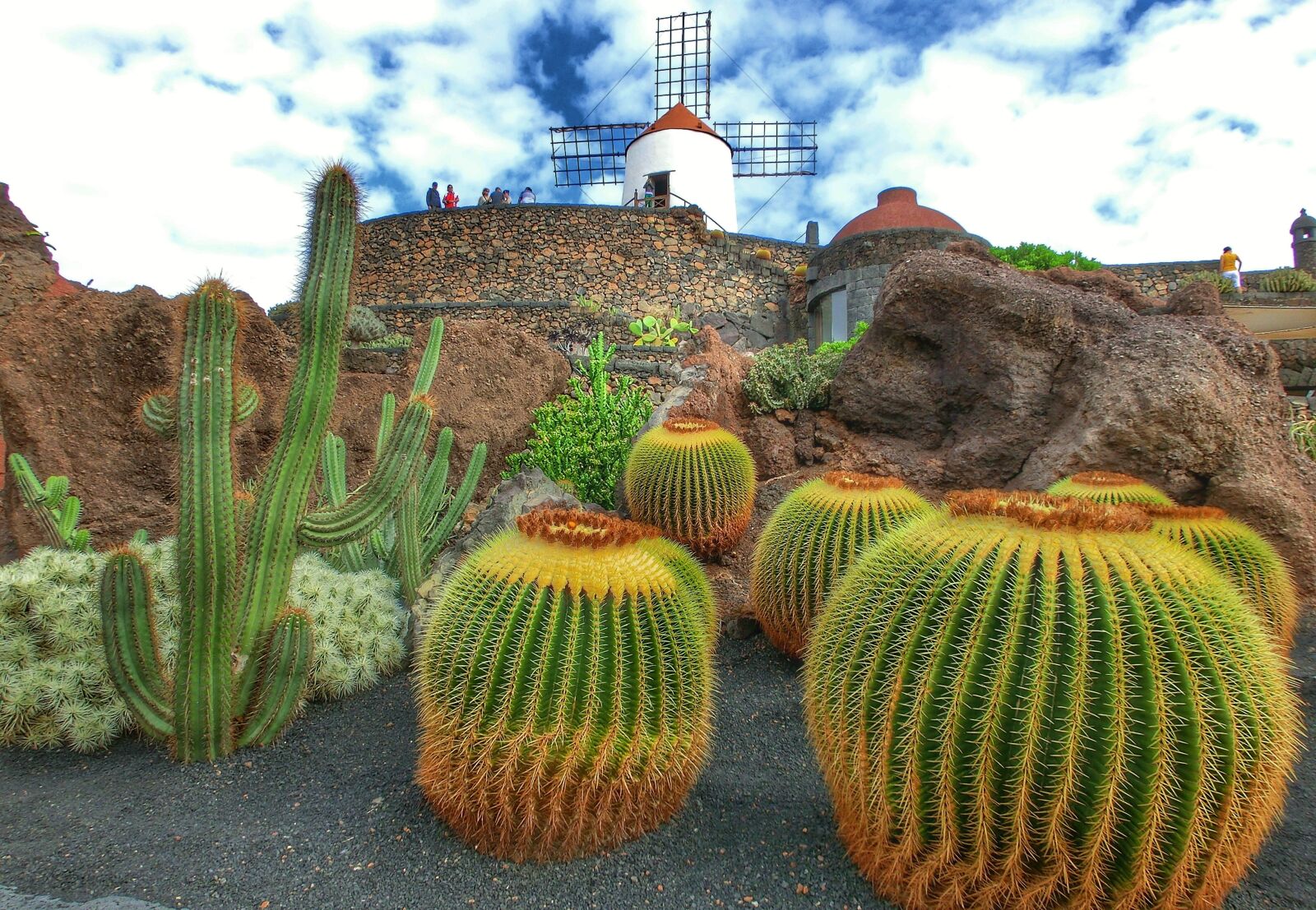 CASIO EX-ZR100 sample photo. Spain, lanzarote, jardin de photography