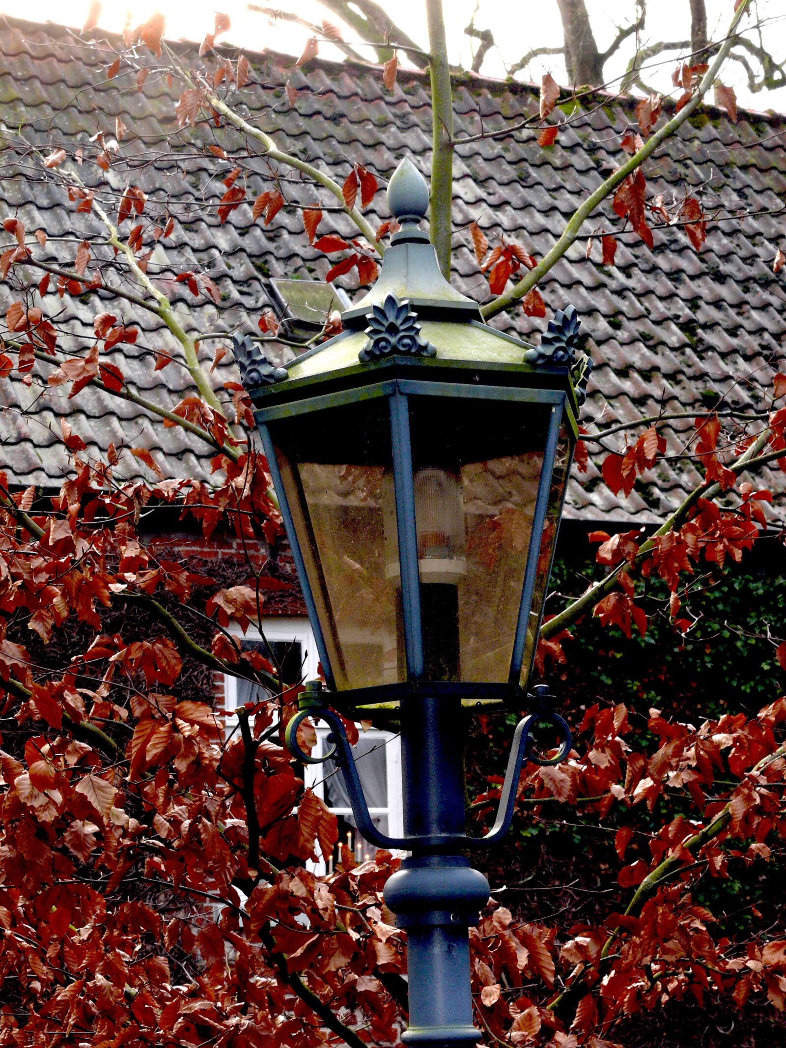 Panasonic DMC-FZ50 sample photo. Lantern, lamp, historic street photography