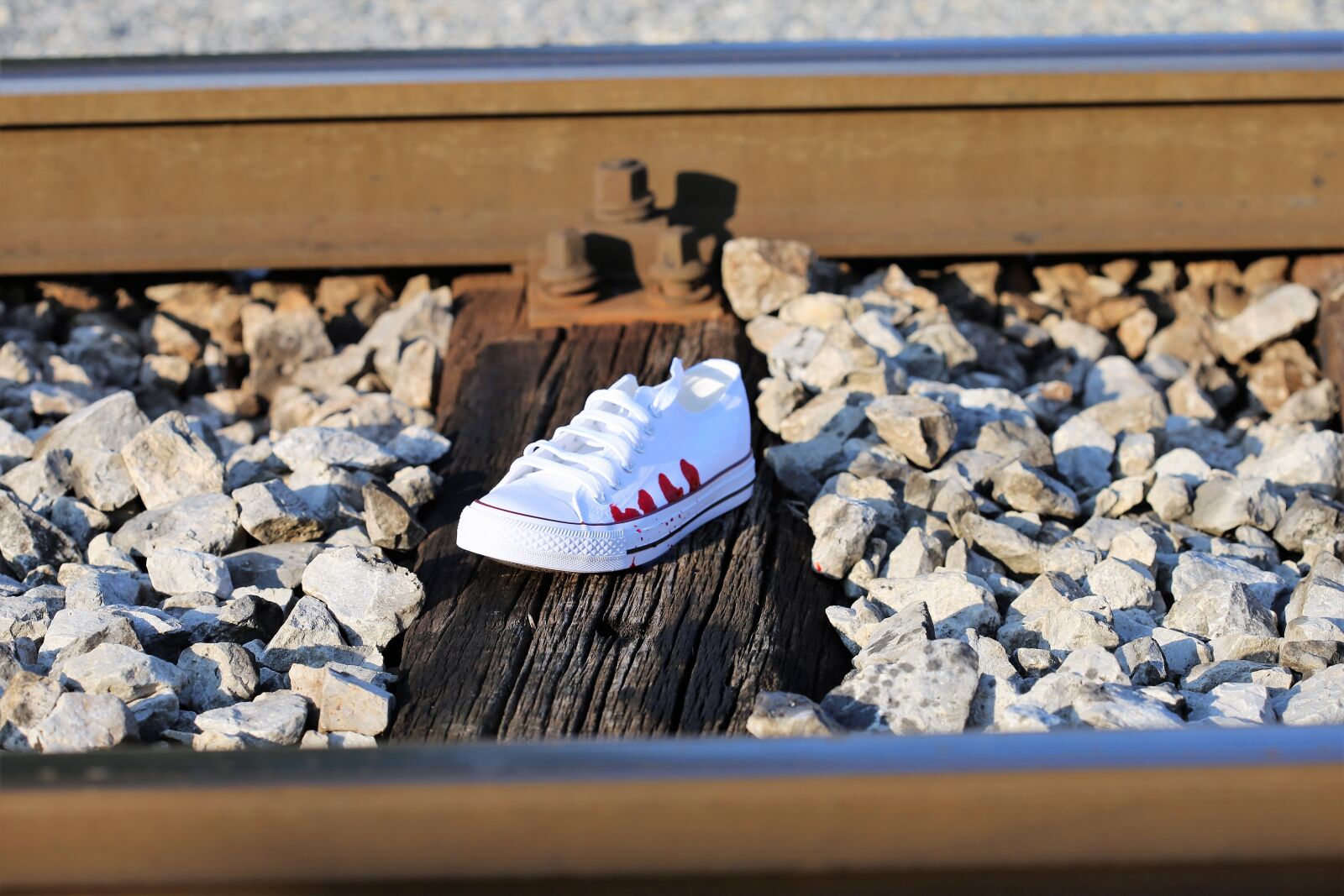 Canon EOS 6D + Canon EF 100mm F2.8 Macro USM sample photo. Stop teenager suicide, bloody photography