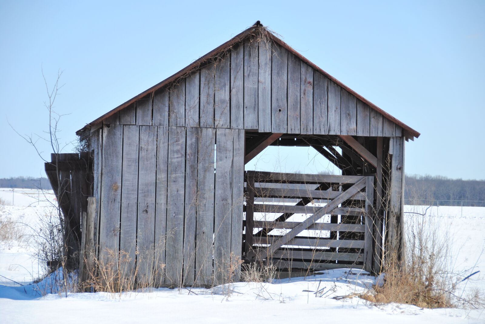 Nikon D3000 sample photo. Snow, cold, barn photography