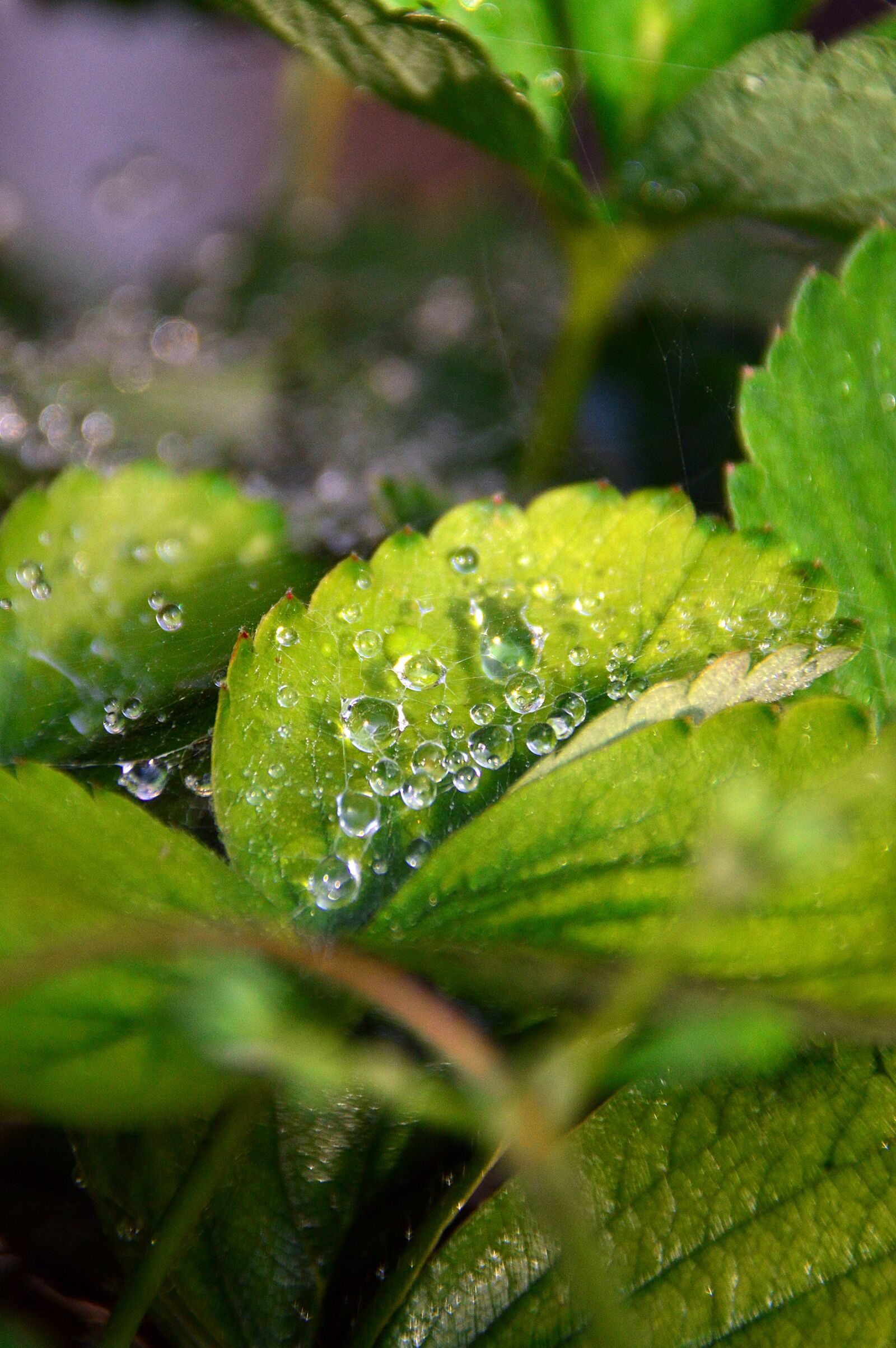 Nikon D3200 sample photo. Just add water, dawn photography