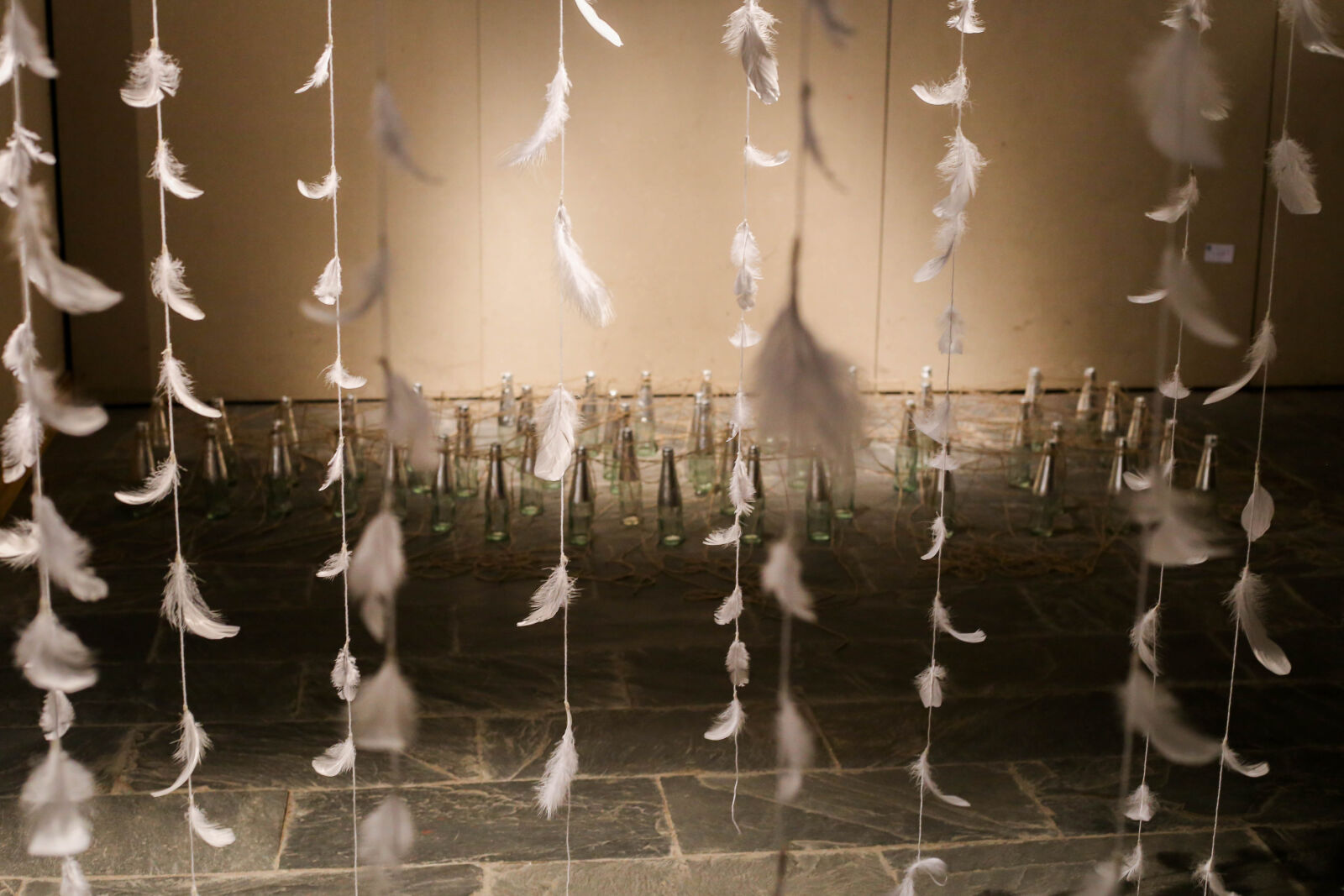 Canon EOS 6D + Canon EF 50mm F1.8 STM sample photo. Feather photography