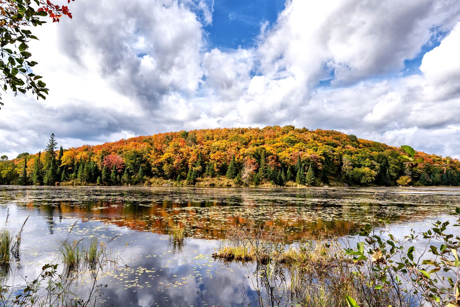 Nikon D750 + Tamron SP 15-30mm F2.8 Di VC USD sample photo. Canada, indian summer, ontario photography