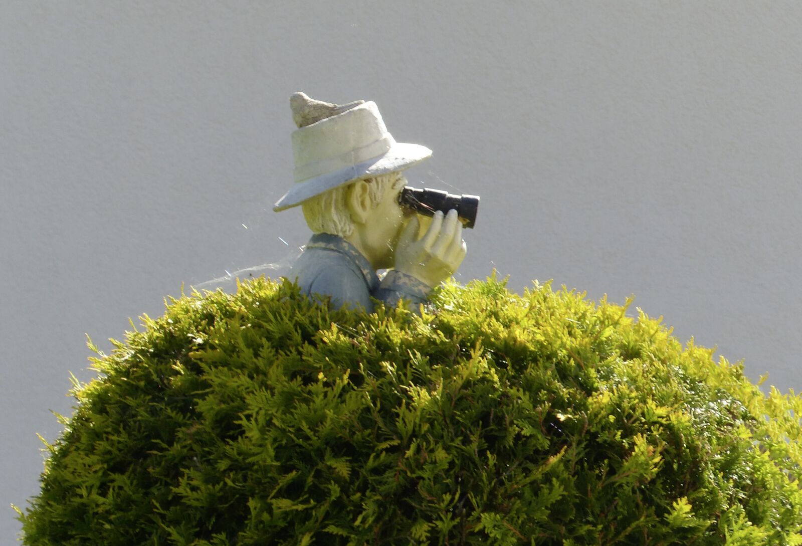 Panasonic Lumix DMC-FZ200 sample photo. Binoculars, bush, sensing photography