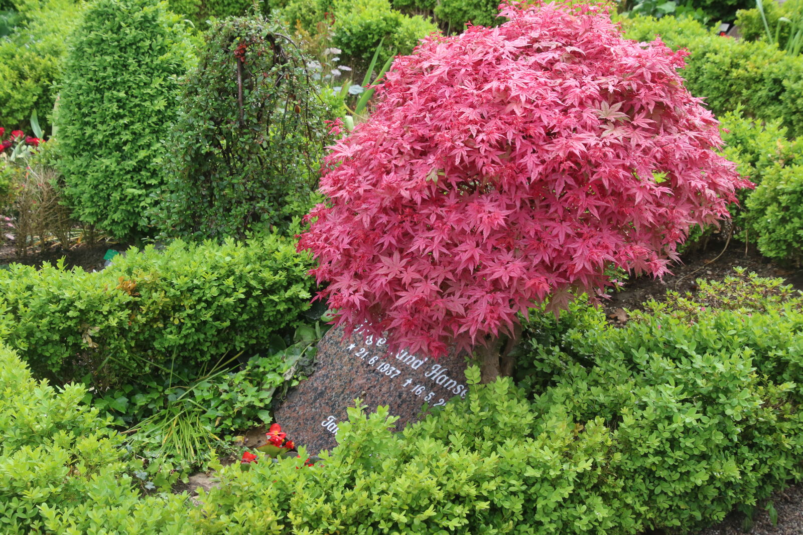 Canon EOS 7D Mark II sample photo. Country, garden, grave, green photography