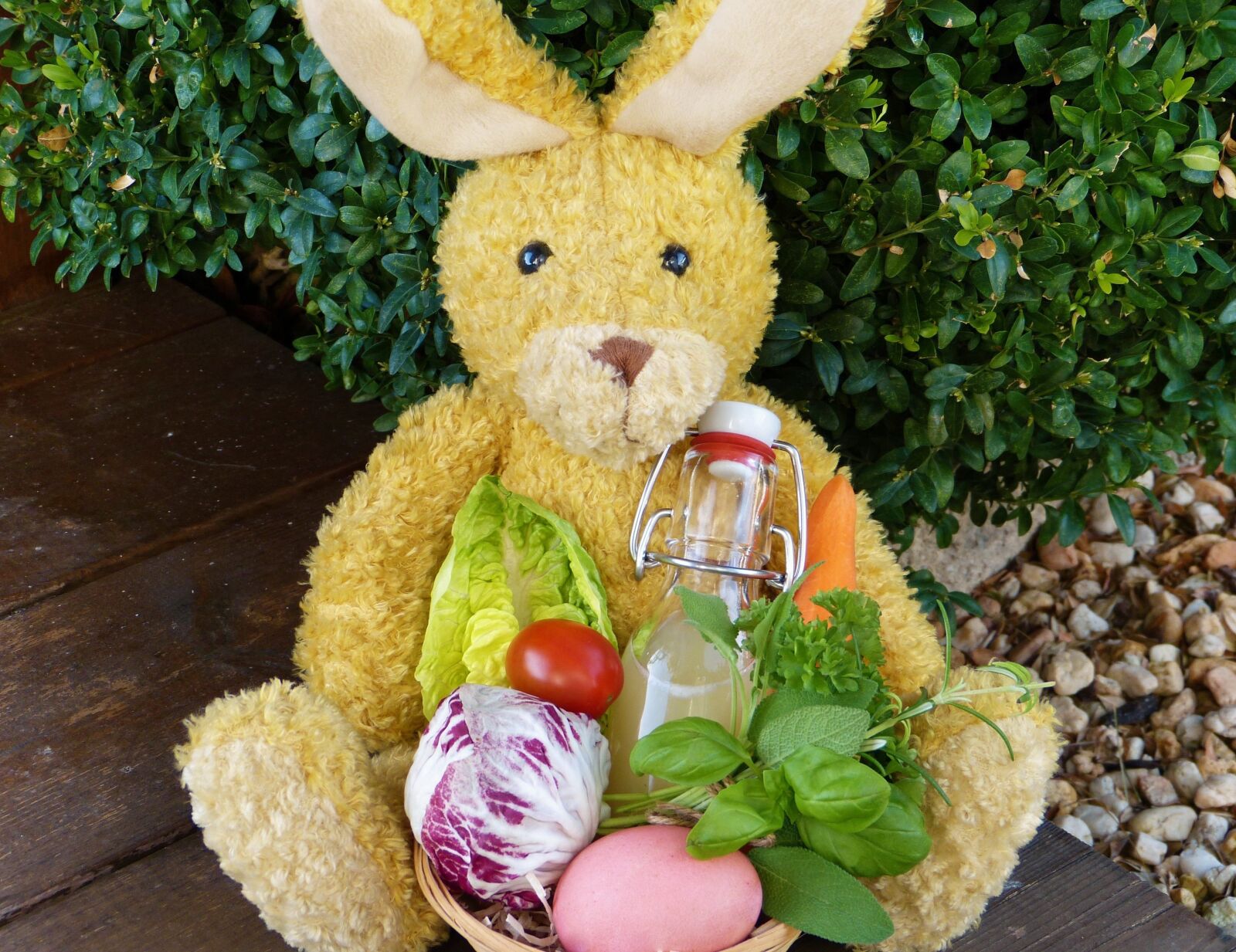 Panasonic Lumix DMC-FZ150 sample photo. Easter bunny, easter nest photography