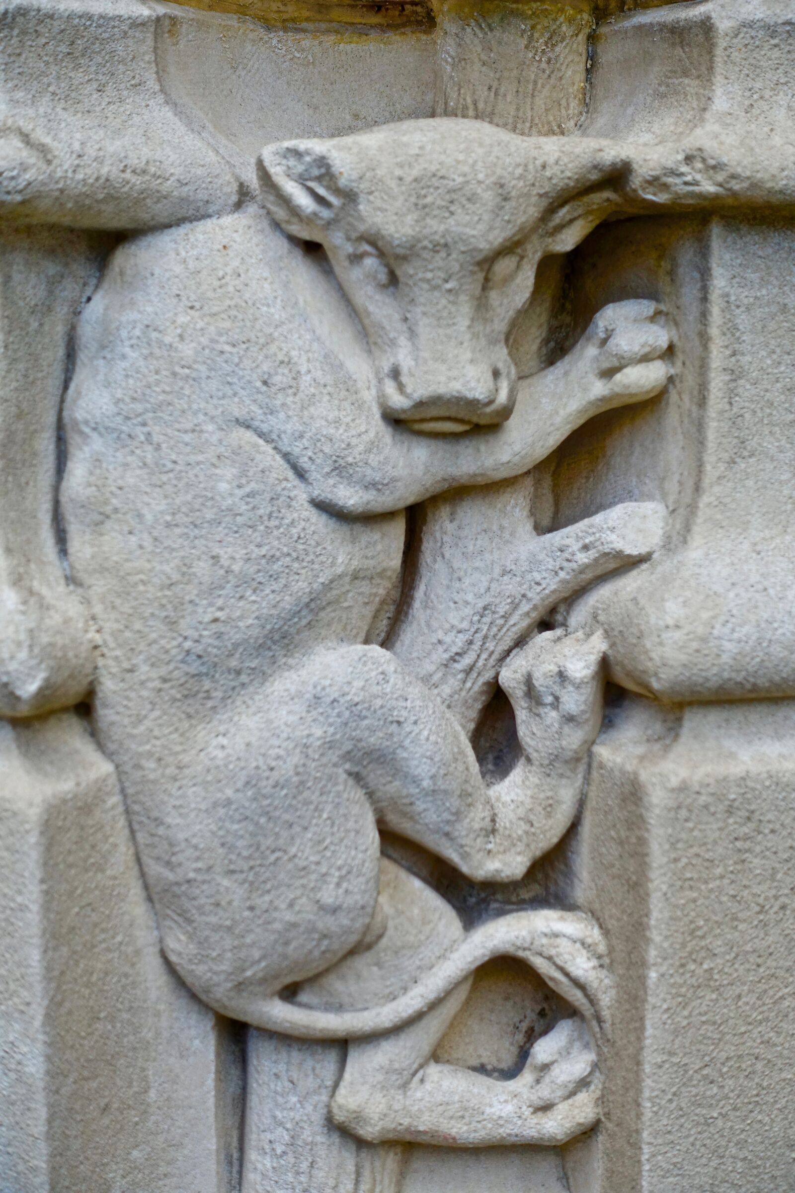 Sony Cyber-shot DSC-RX100 III sample photo. Gargoyle, sculpture, bull photography